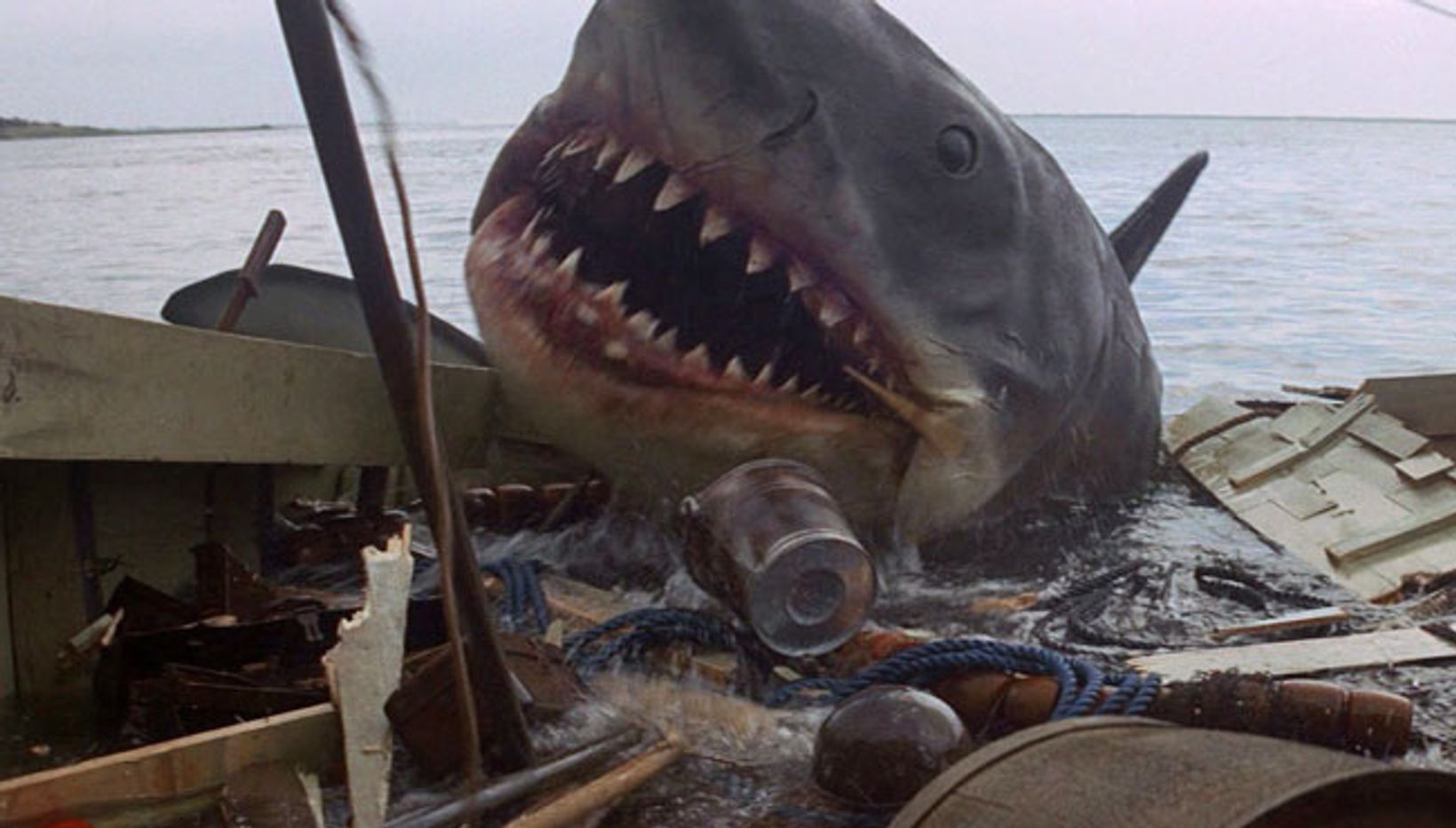 jaws-01.jpg