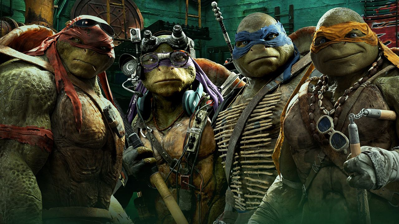 turtles2.jpg