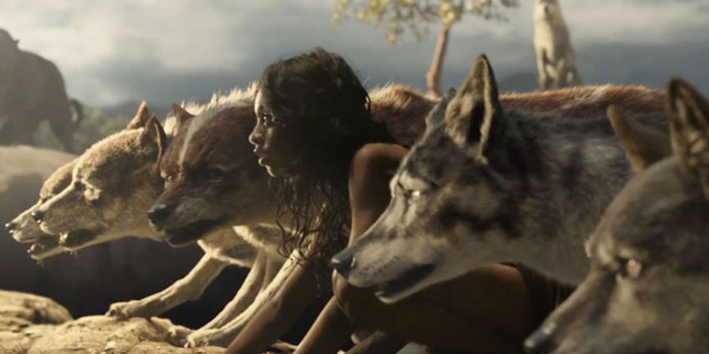 mowgli.jpg