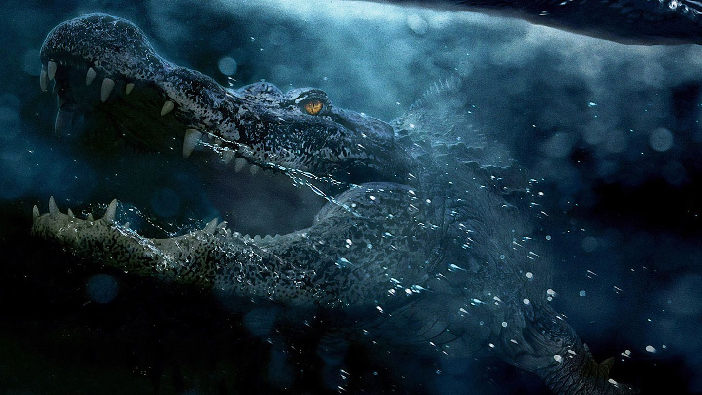 crawl-2019-thumb.jpg