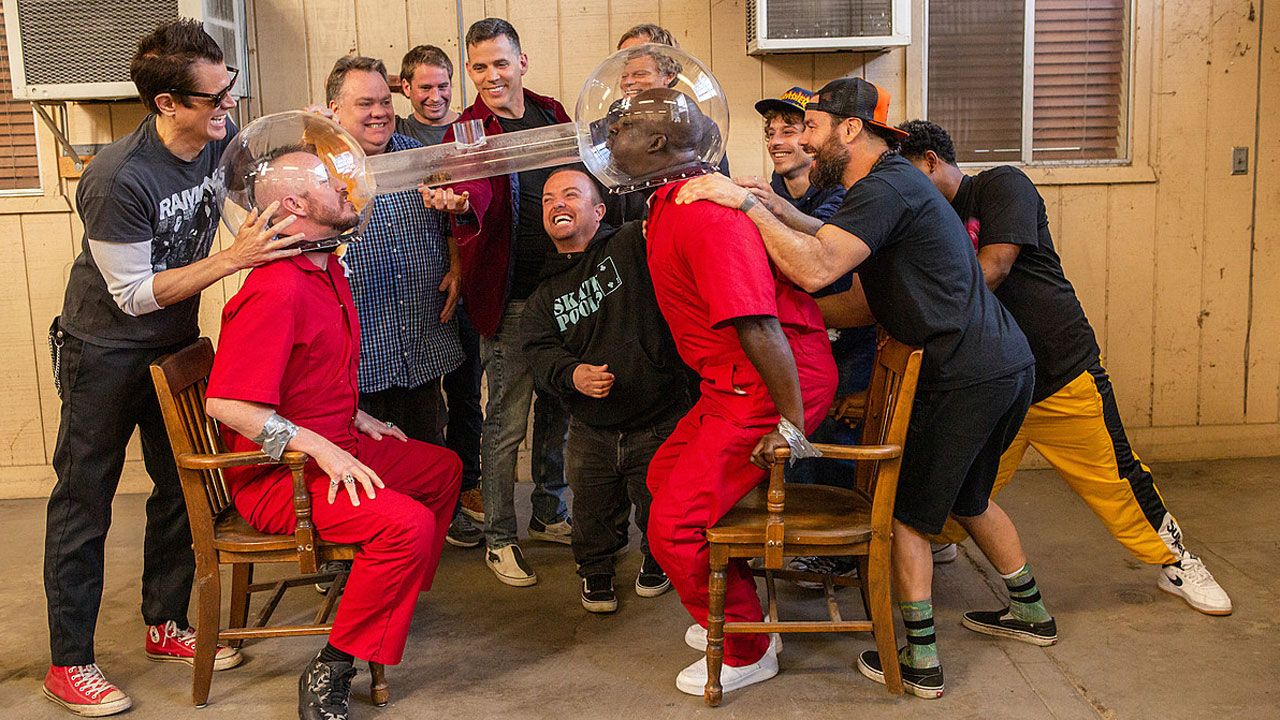 jackass4.jpg