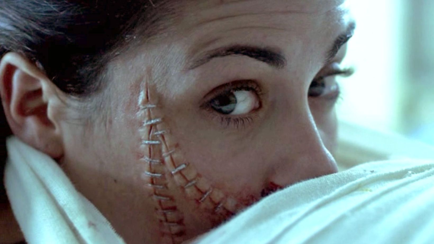 The Human Centipede (First Sequence)