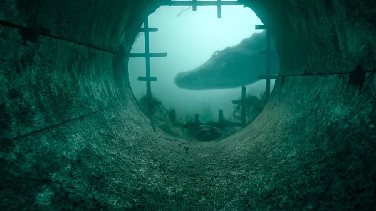 crawl.jpg