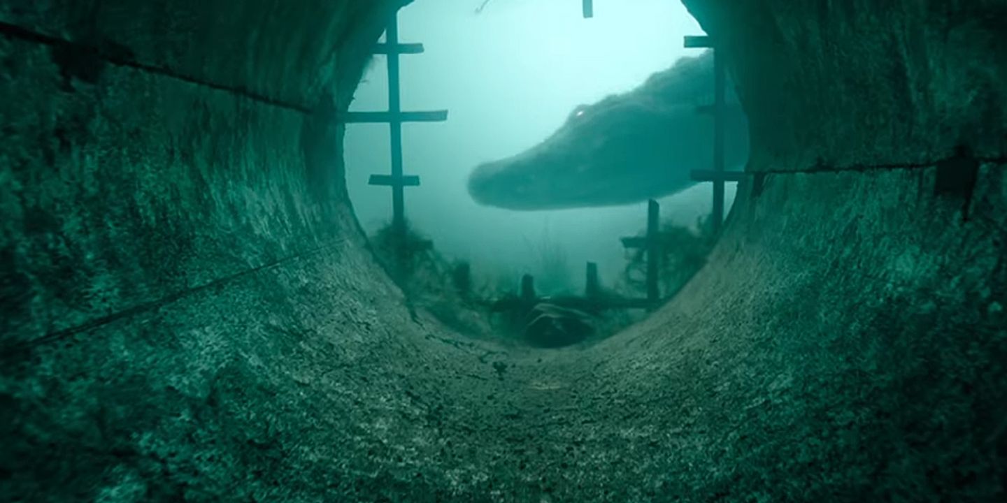 crawl.jpg