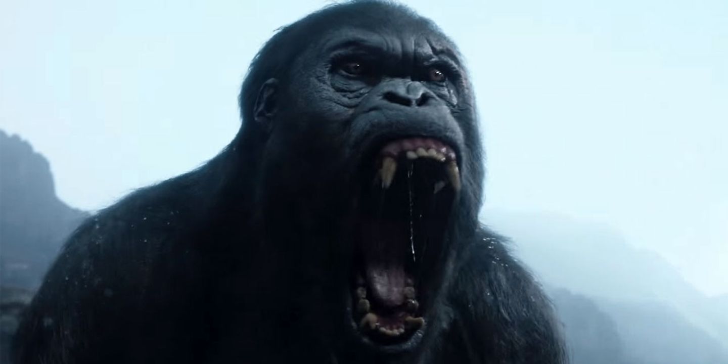 tarzan2.jpg
