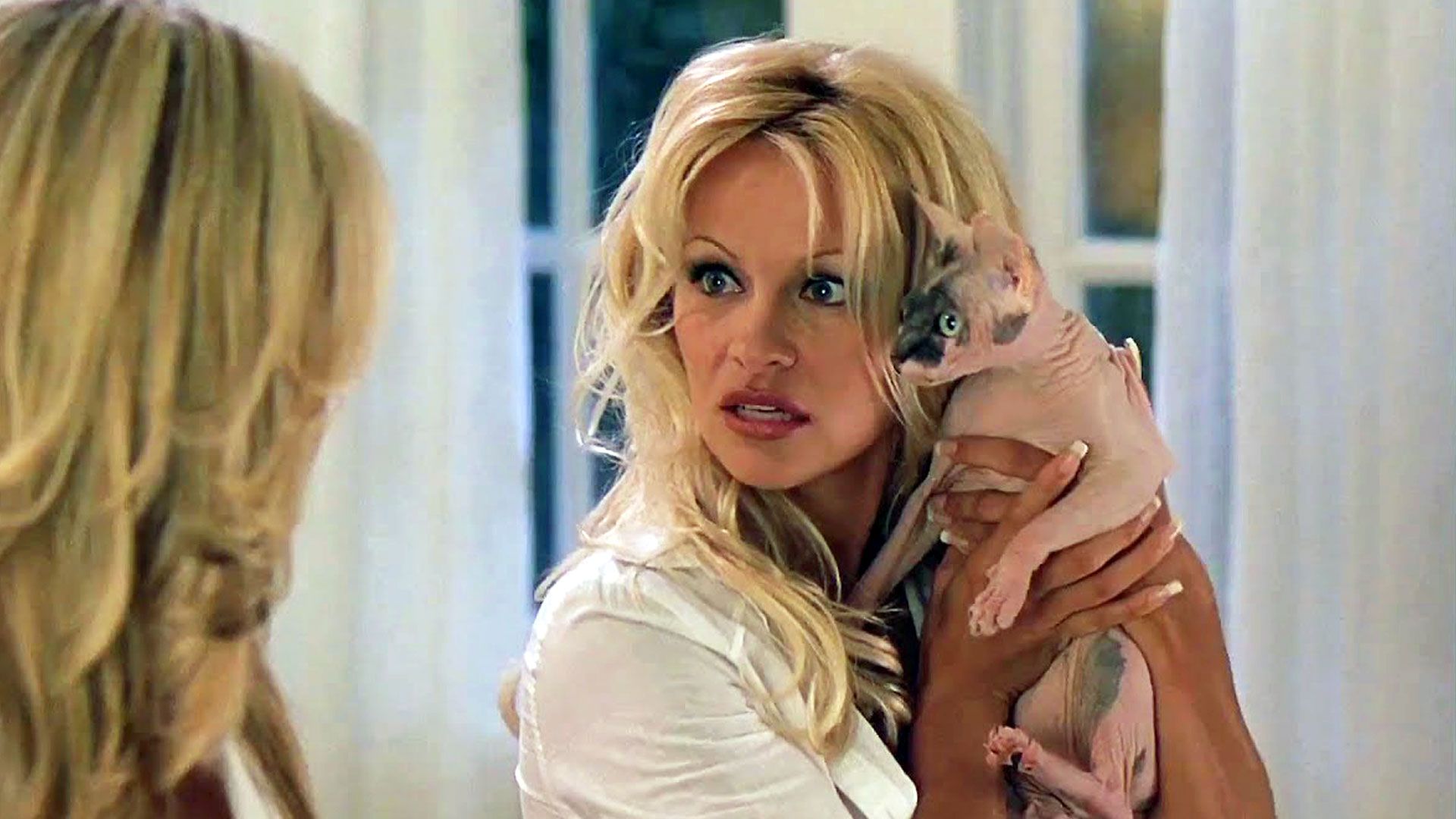 Scary Movie 3 Dimension Films