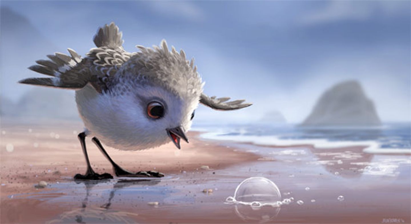 Piper