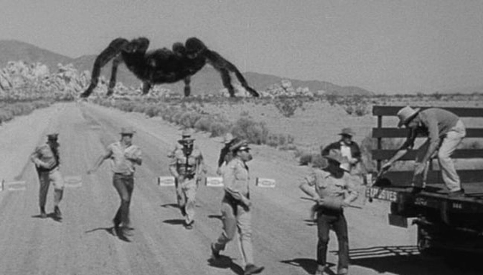 Tarantula / Universal Pictures