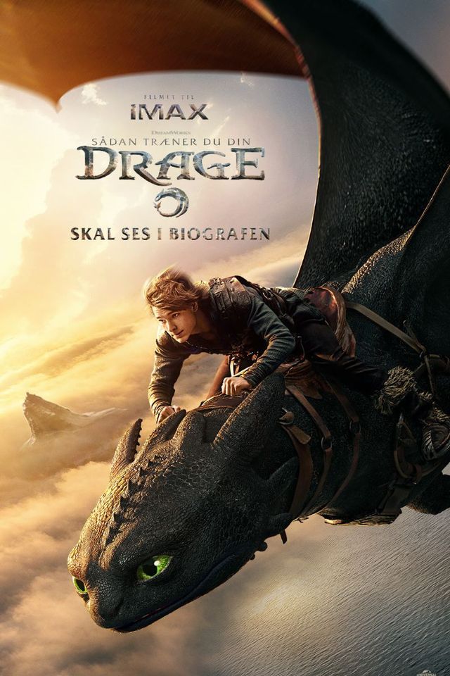 Sådan træner du din drage