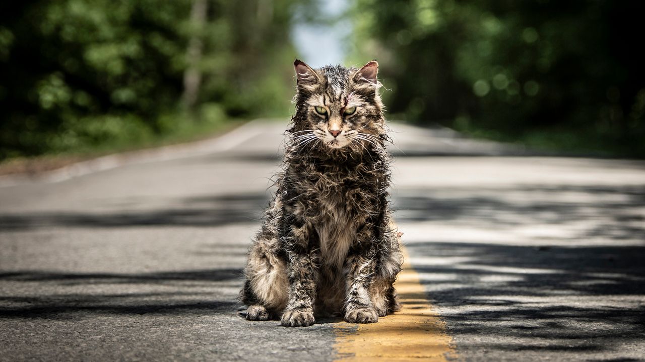 pet-sematary-cat.jpg