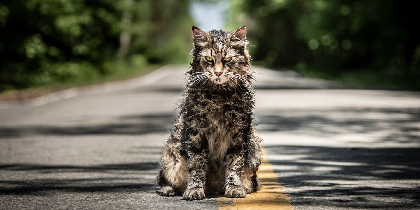 pet-sematary-cat.jpg