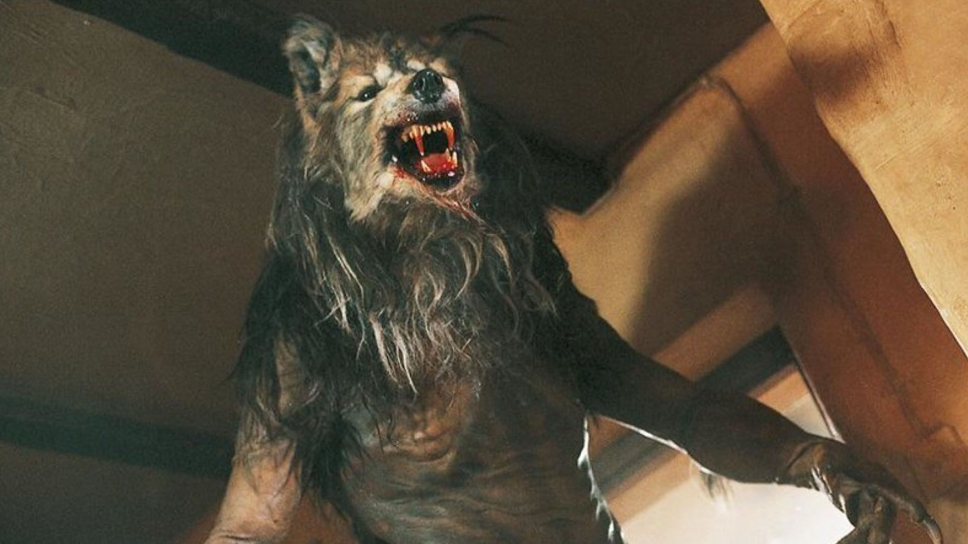 Dog Soldiers