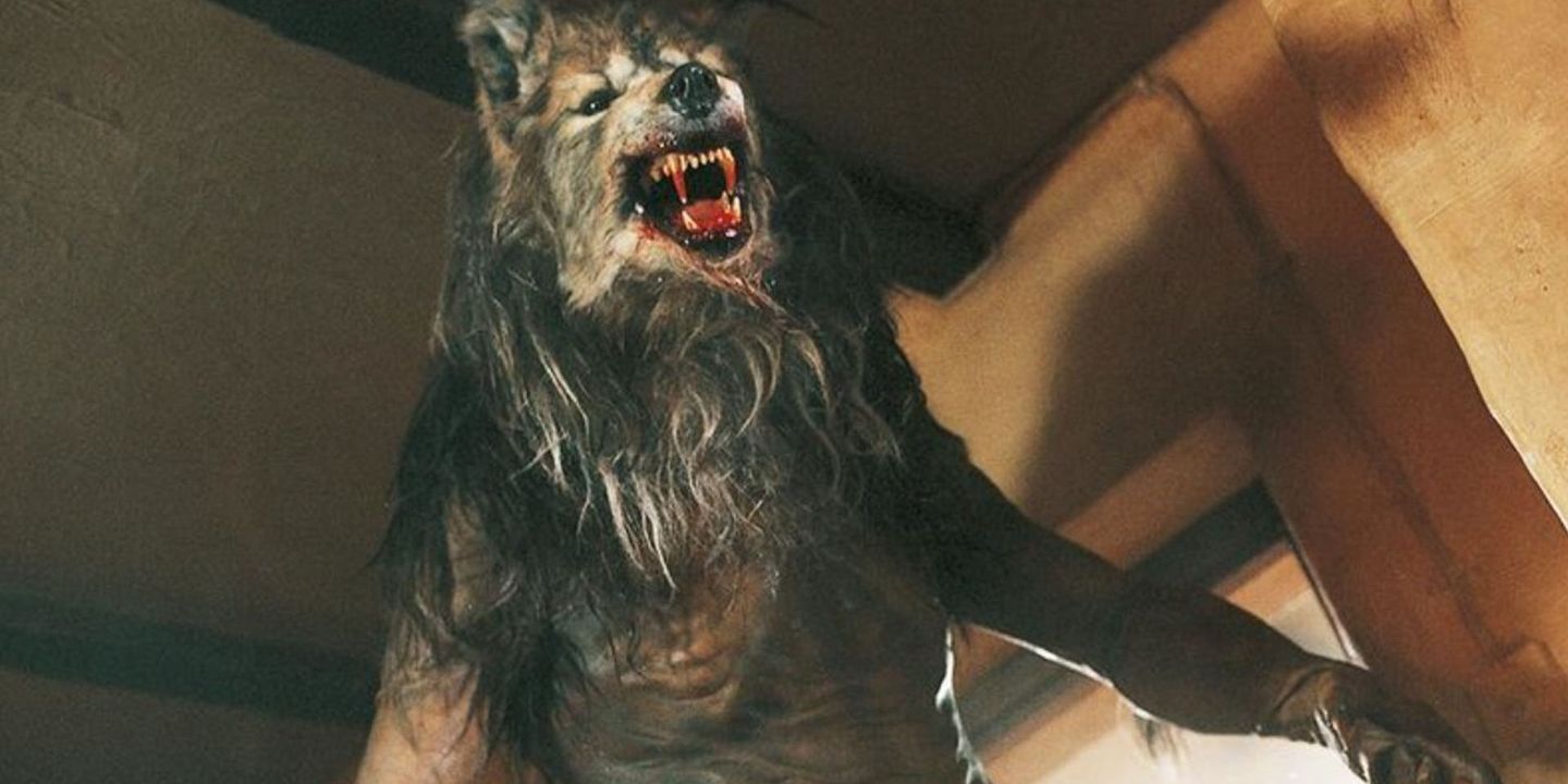 Dog Soldiers