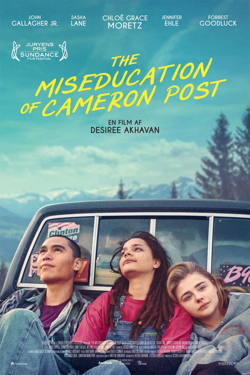 the_miseducation_of_cameron_post.jpg