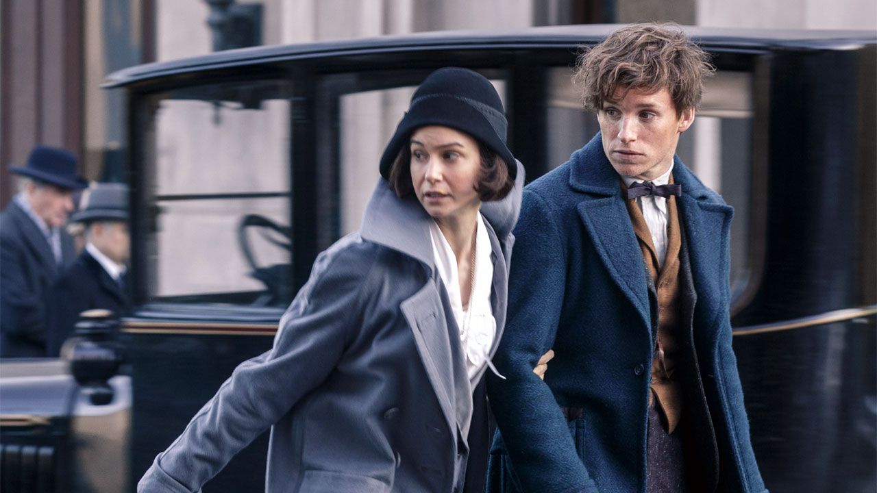 newtscamander.jpg