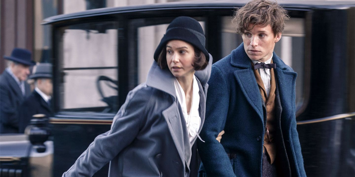 newtscamander.jpg