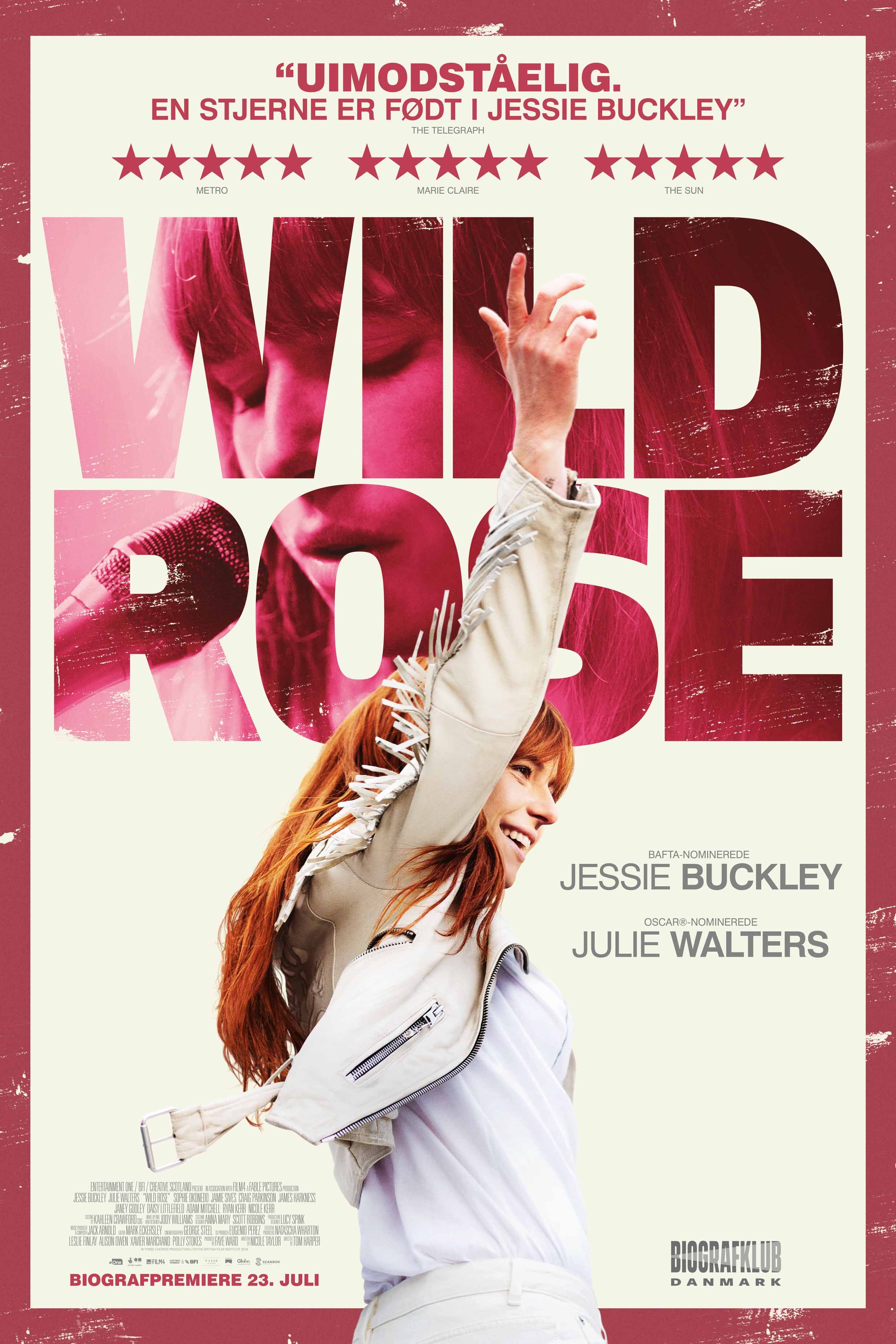 wild_rose_still.jpg