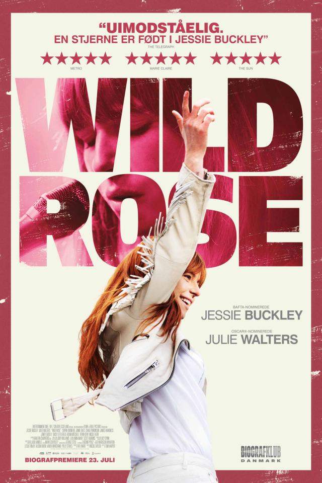 wild_rose_still.jpg