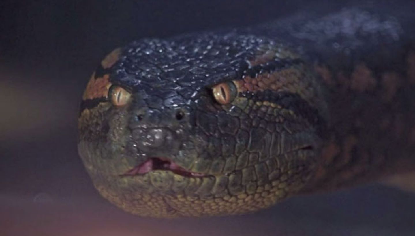Anaconda / Columbia Pictures