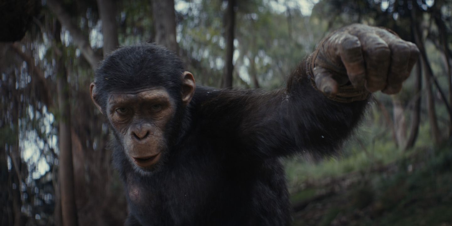 Kingdom of the Planet of the Apes