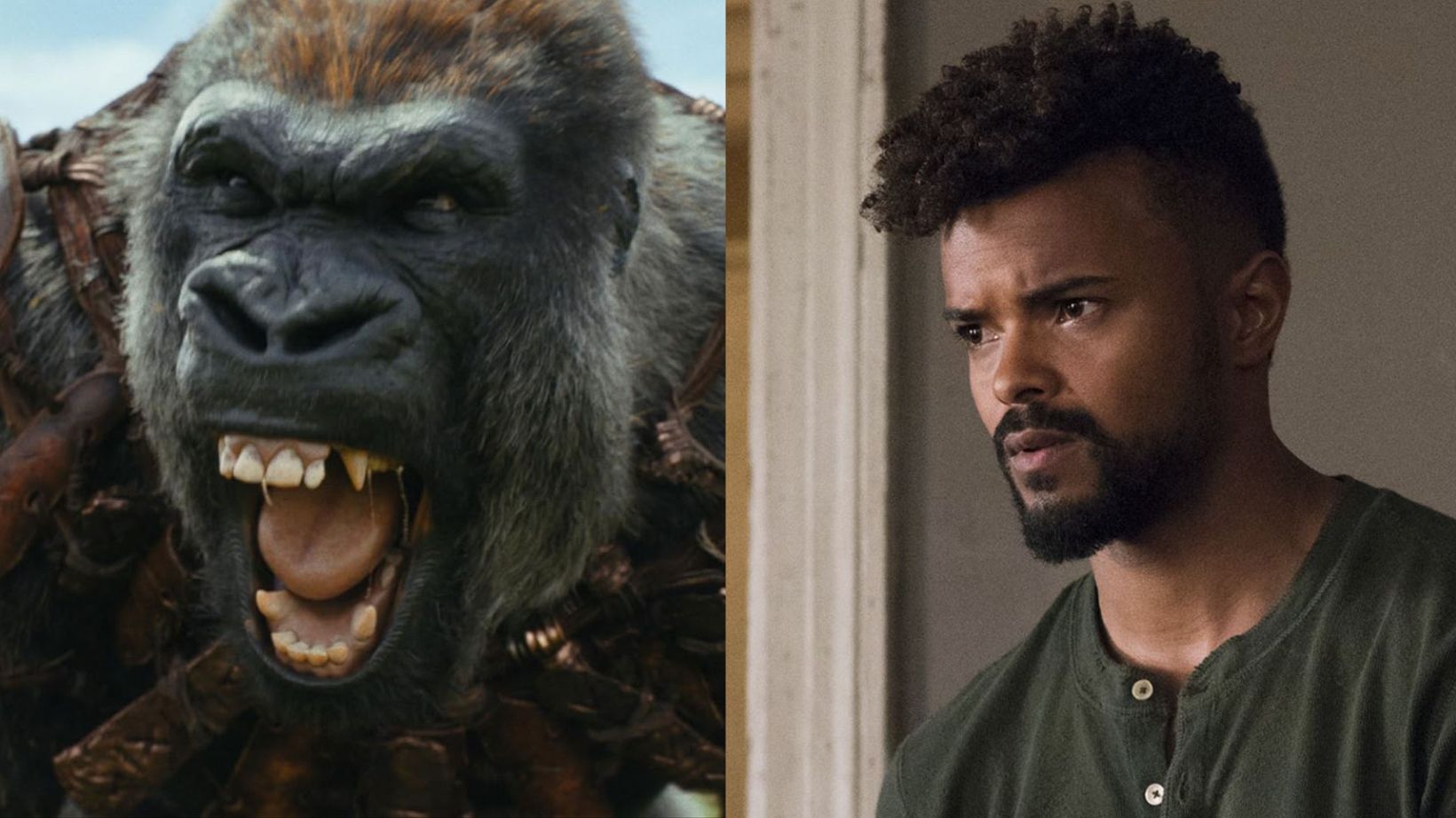Kingdom of the Planet of the Apes (Disney)