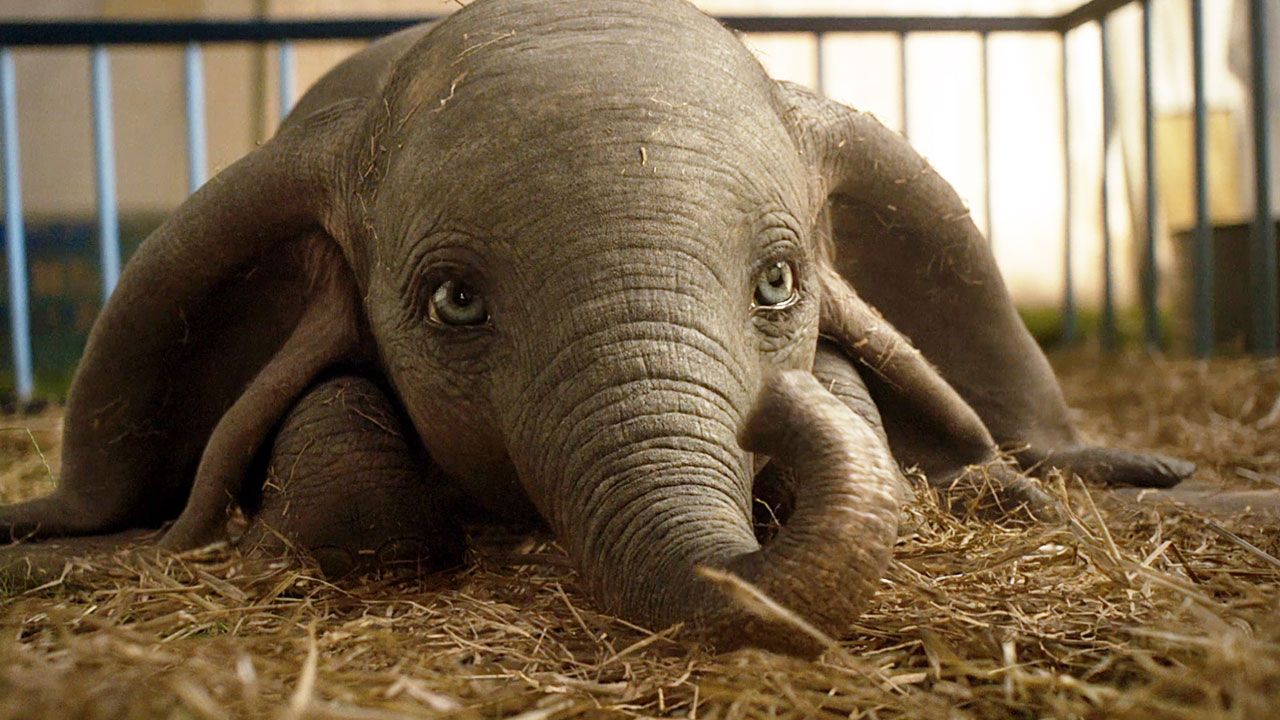 dumbo_2.jpg