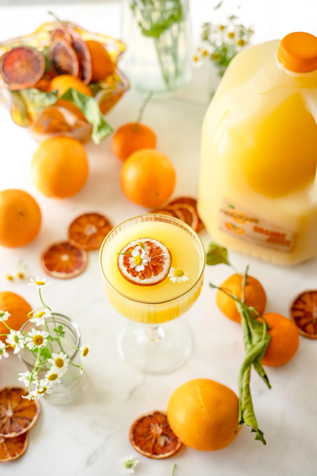 Orange Blossom Cocktail made with Perricone Farms Orange Juice, gin, and orange blossom water, garnished with citrus and edible flowers beside whole oranges and juice