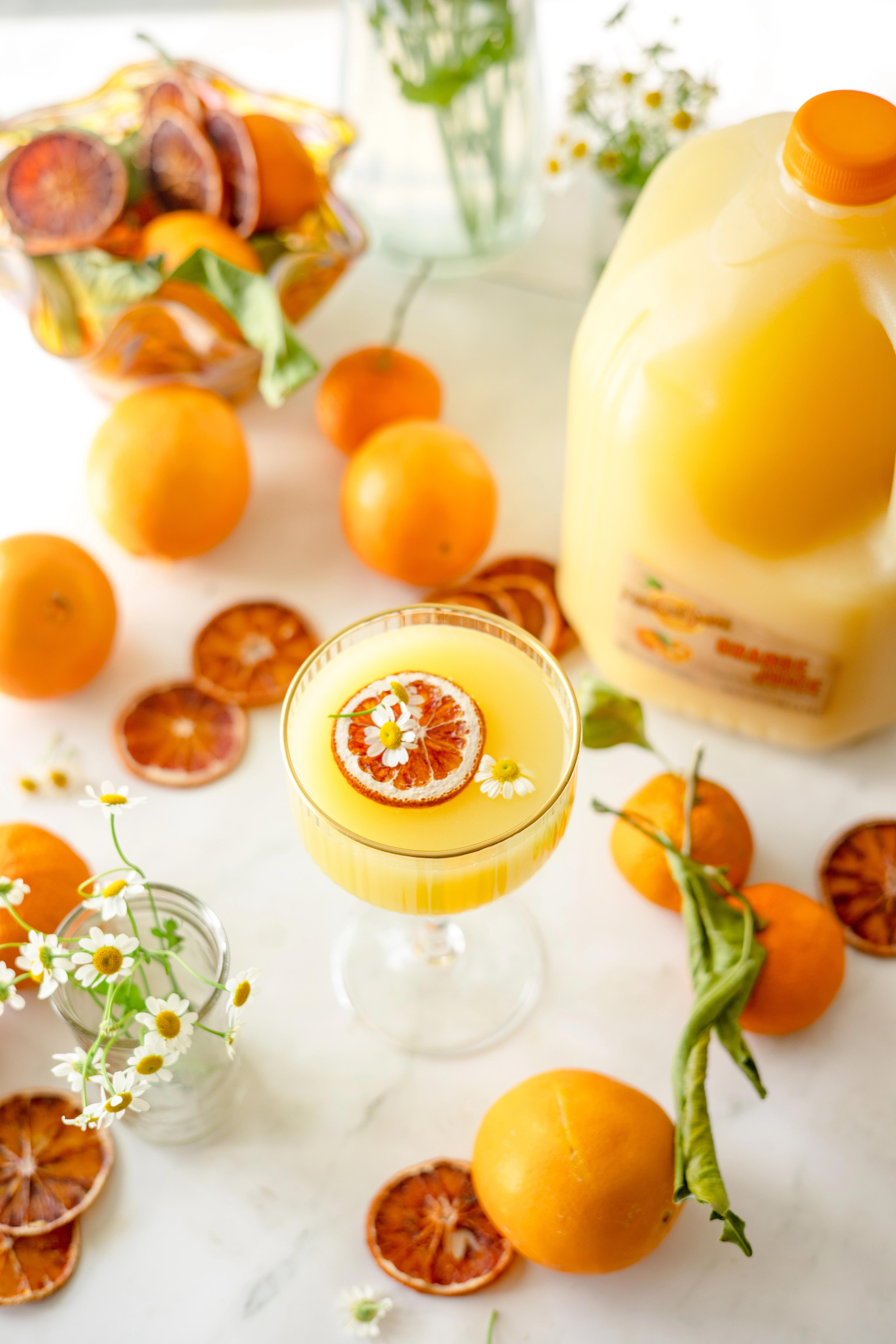 Orange Blossom Cocktail made with Perricone Farms Orange Juice, gin, and orange blossom water, garnished with citrus and edible flowers beside whole oranges and juice