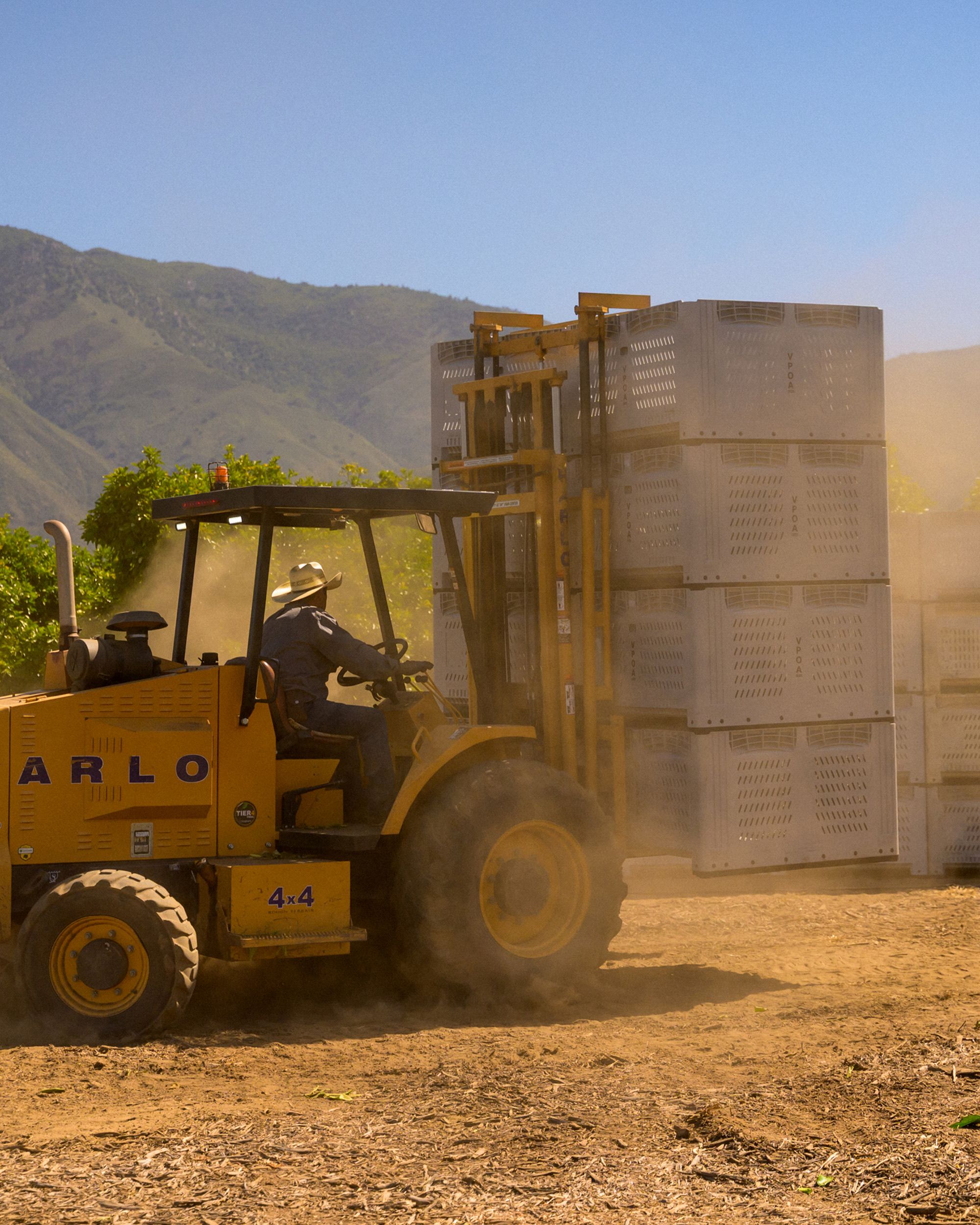 Farmer picking up box of apples