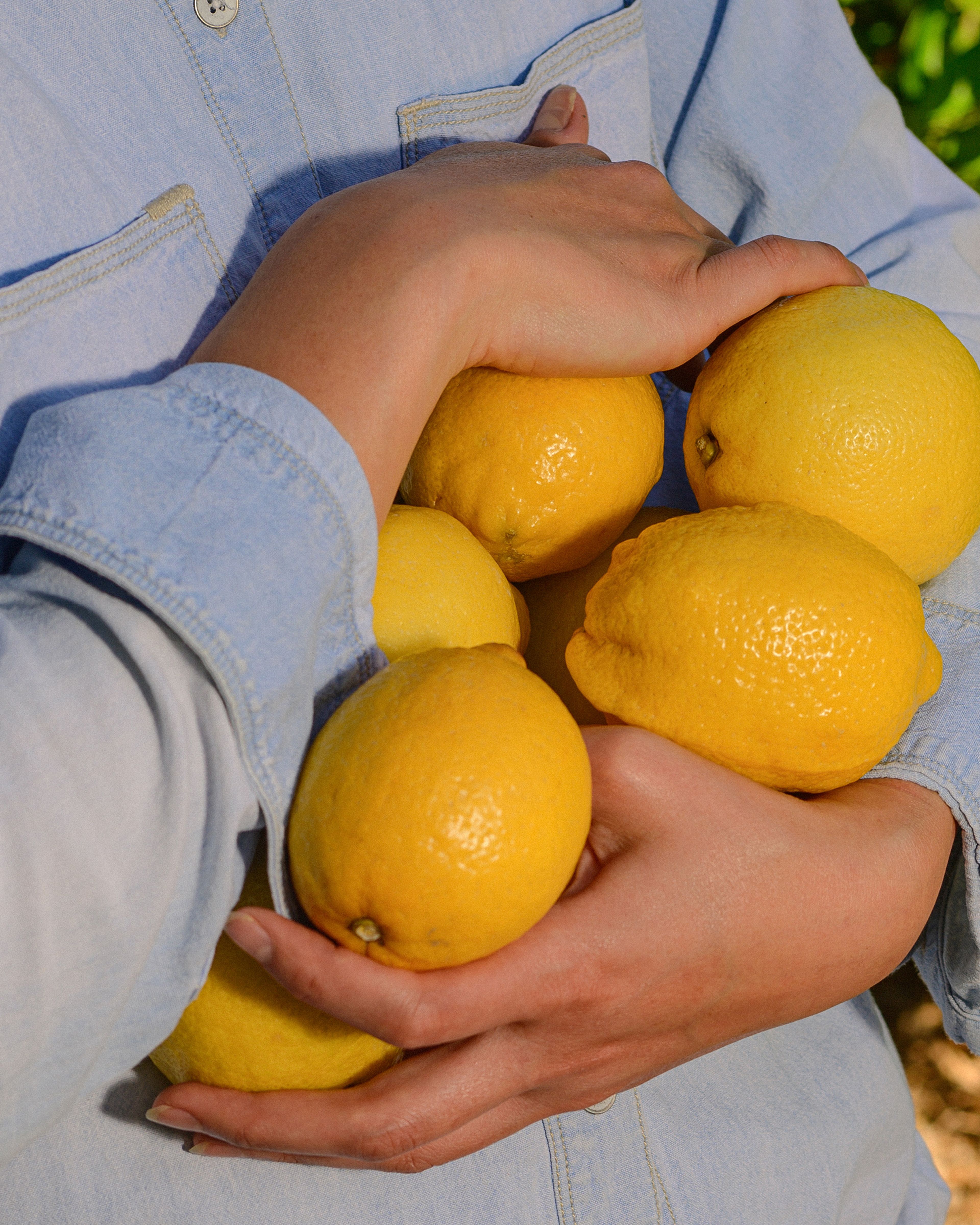A worker carries an armful of lemons