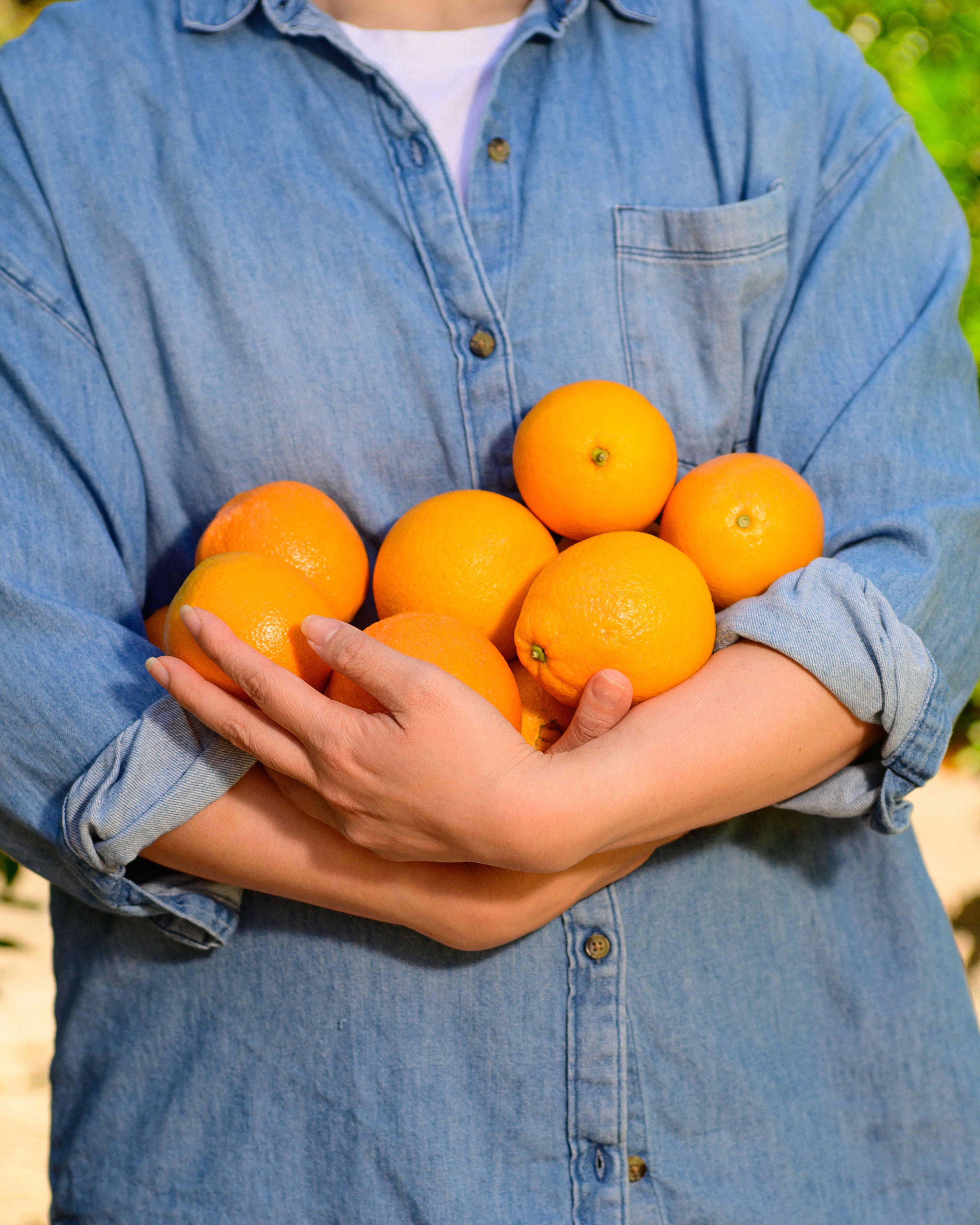 A worker holds an armful of oranges