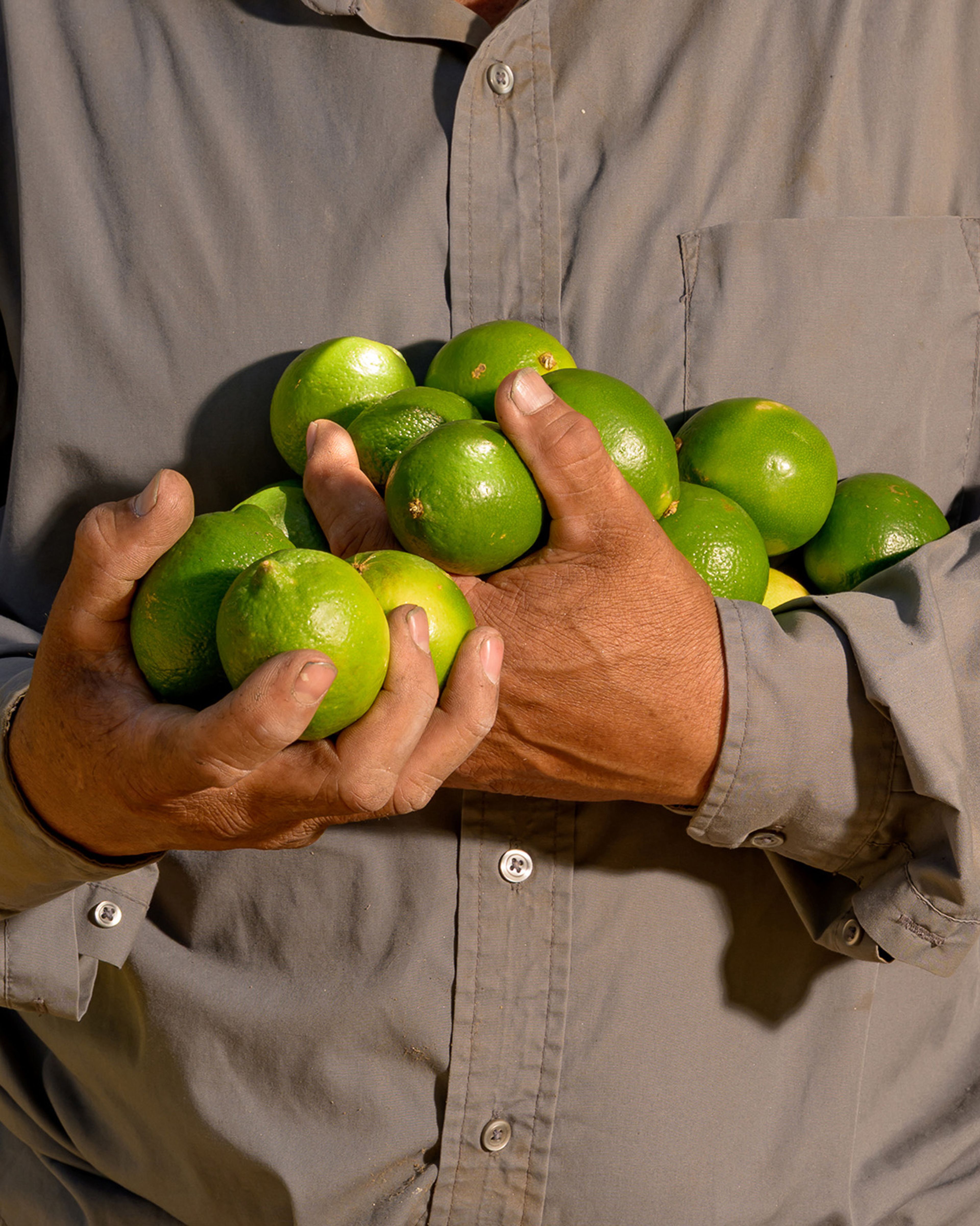 A worker holds an armful of limes