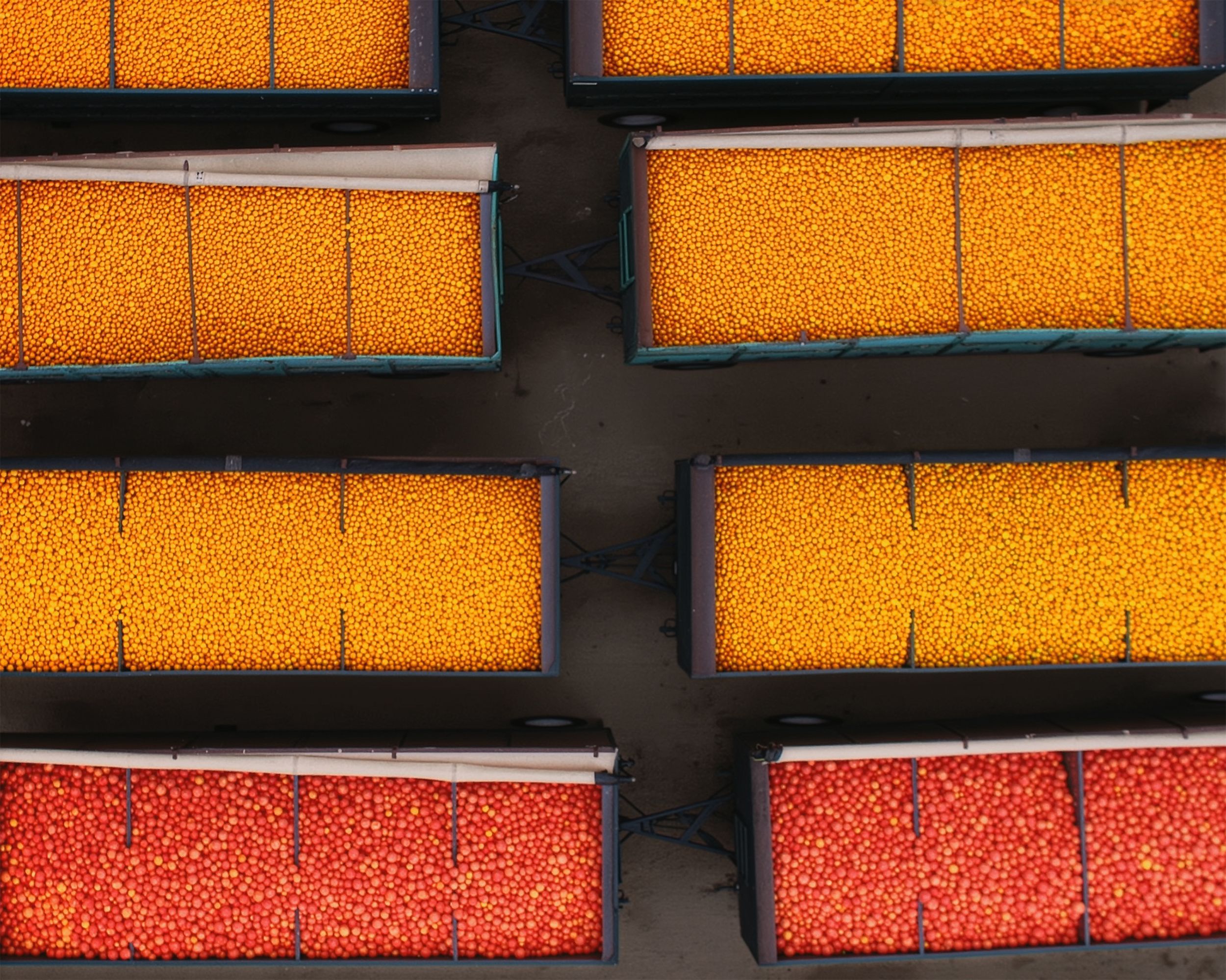 Commercial bins full of apples and oranges