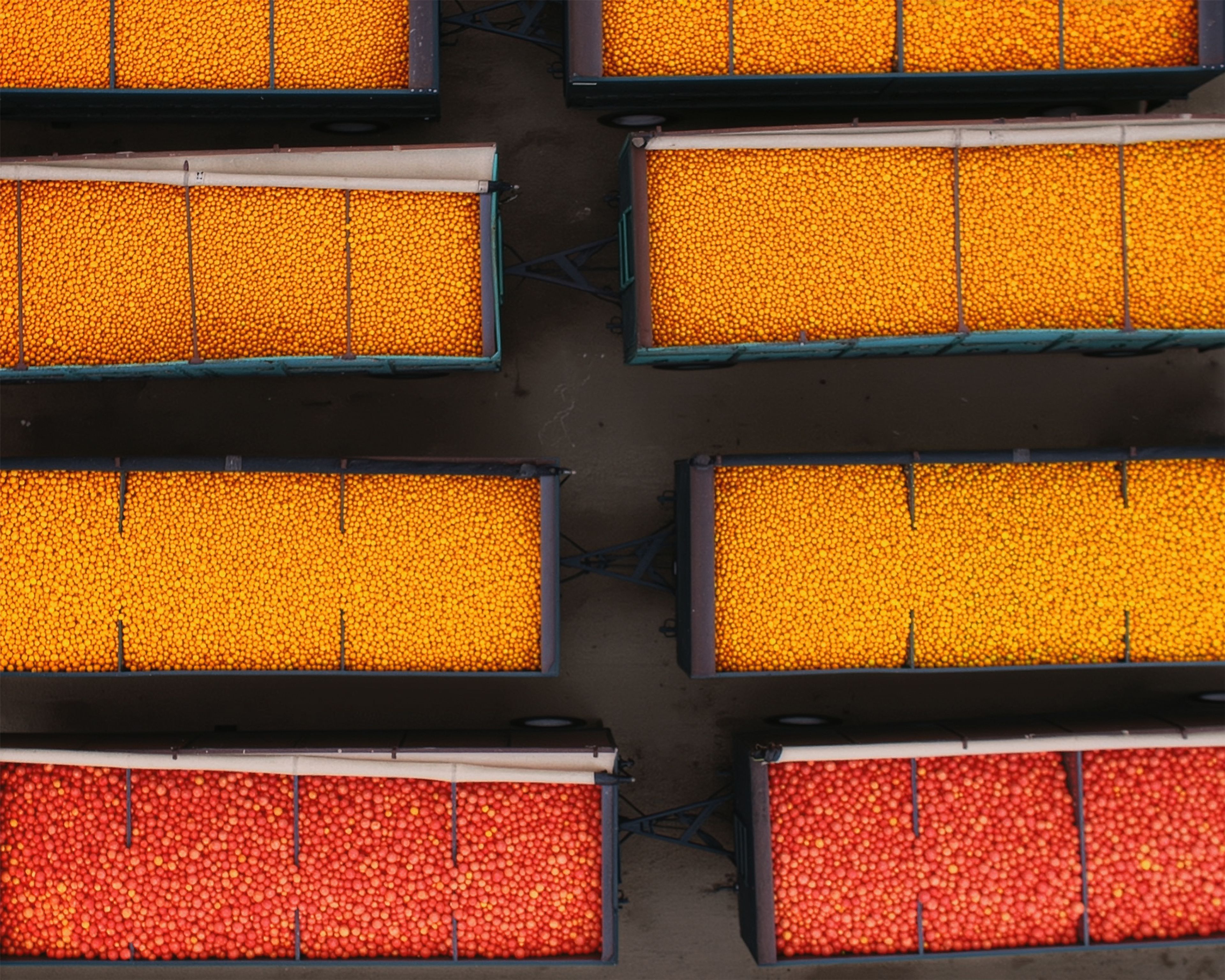 Commercial bins full of apples and oranges