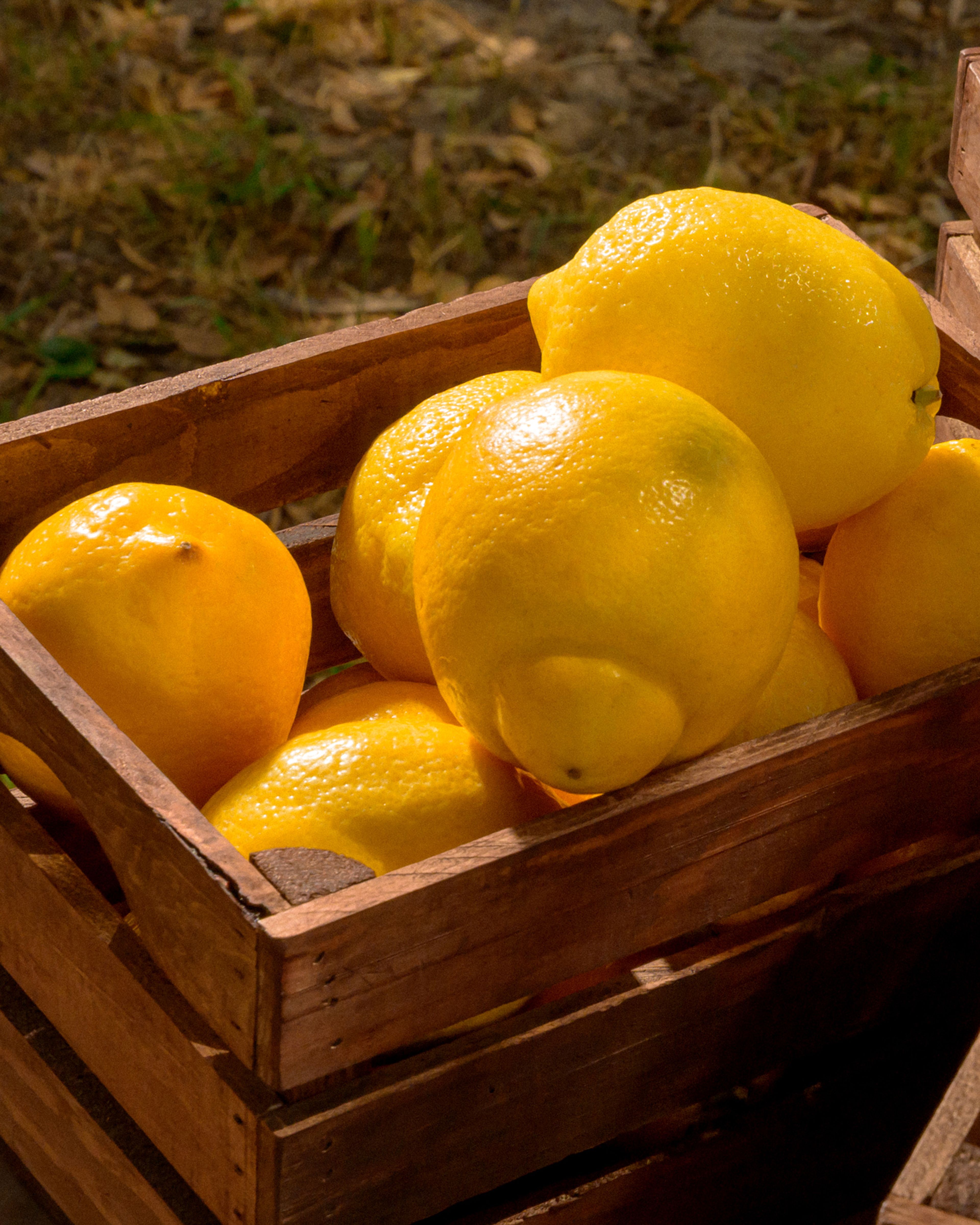 A wooden crate of lemons