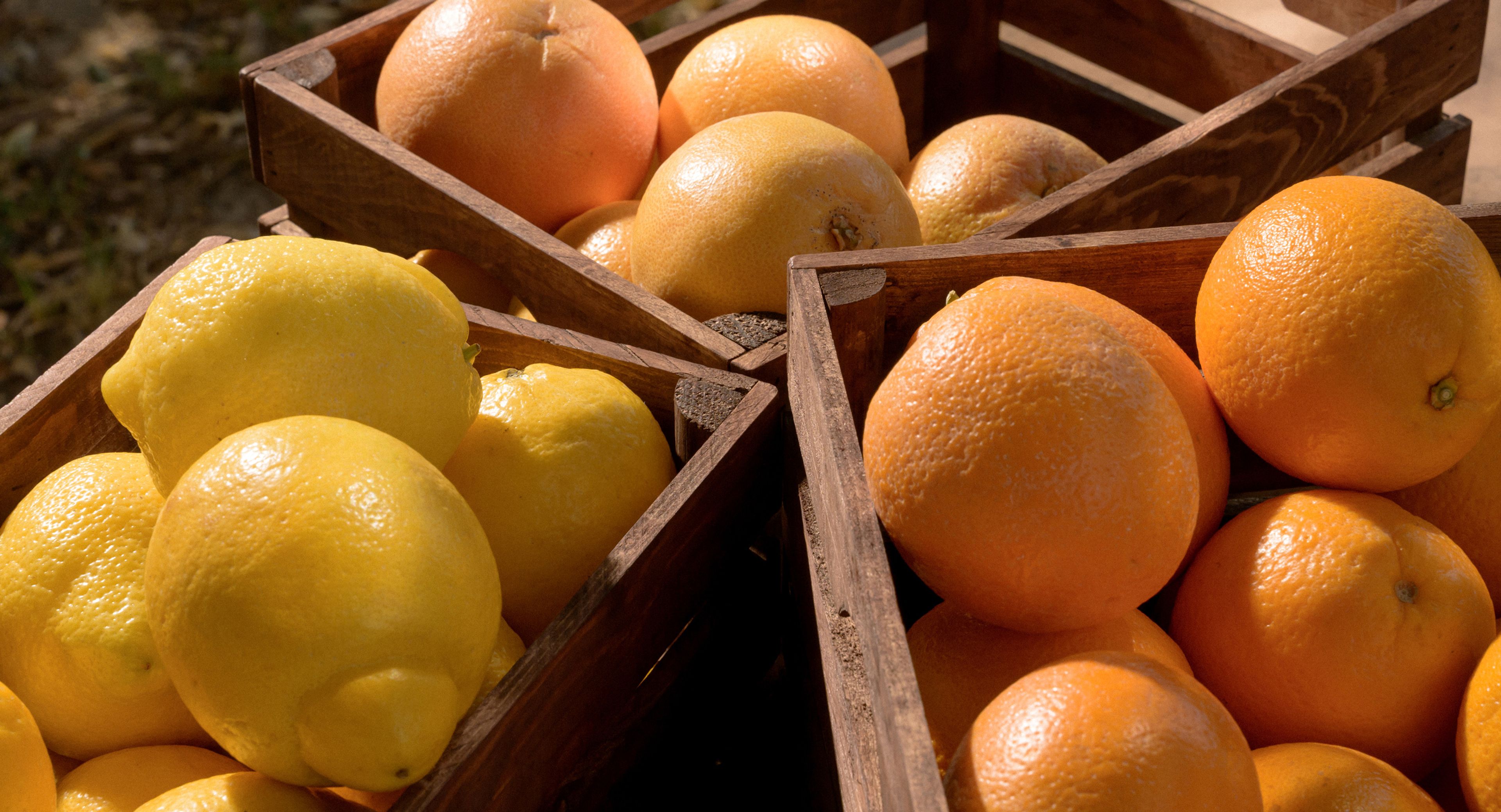Wooden crates of grapefruits and lemons