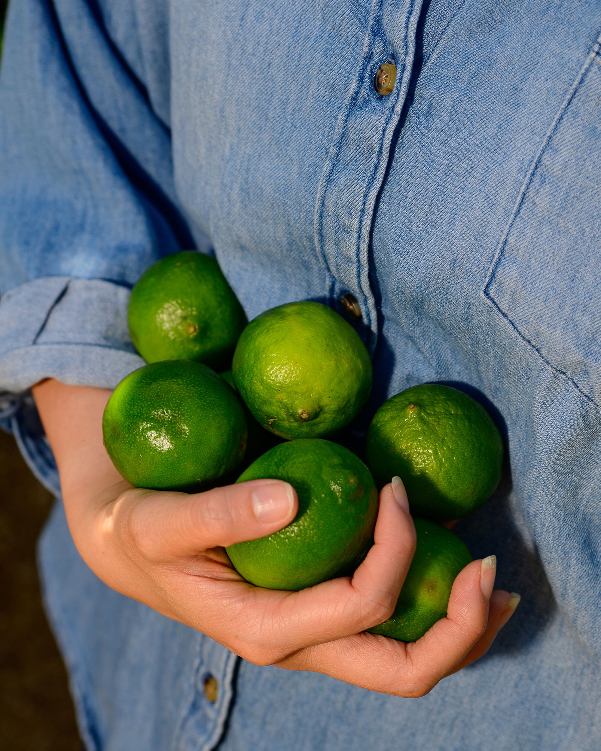 A worker holds a handful of limes