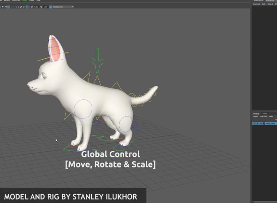 Video poster for Spock the Dog Rig