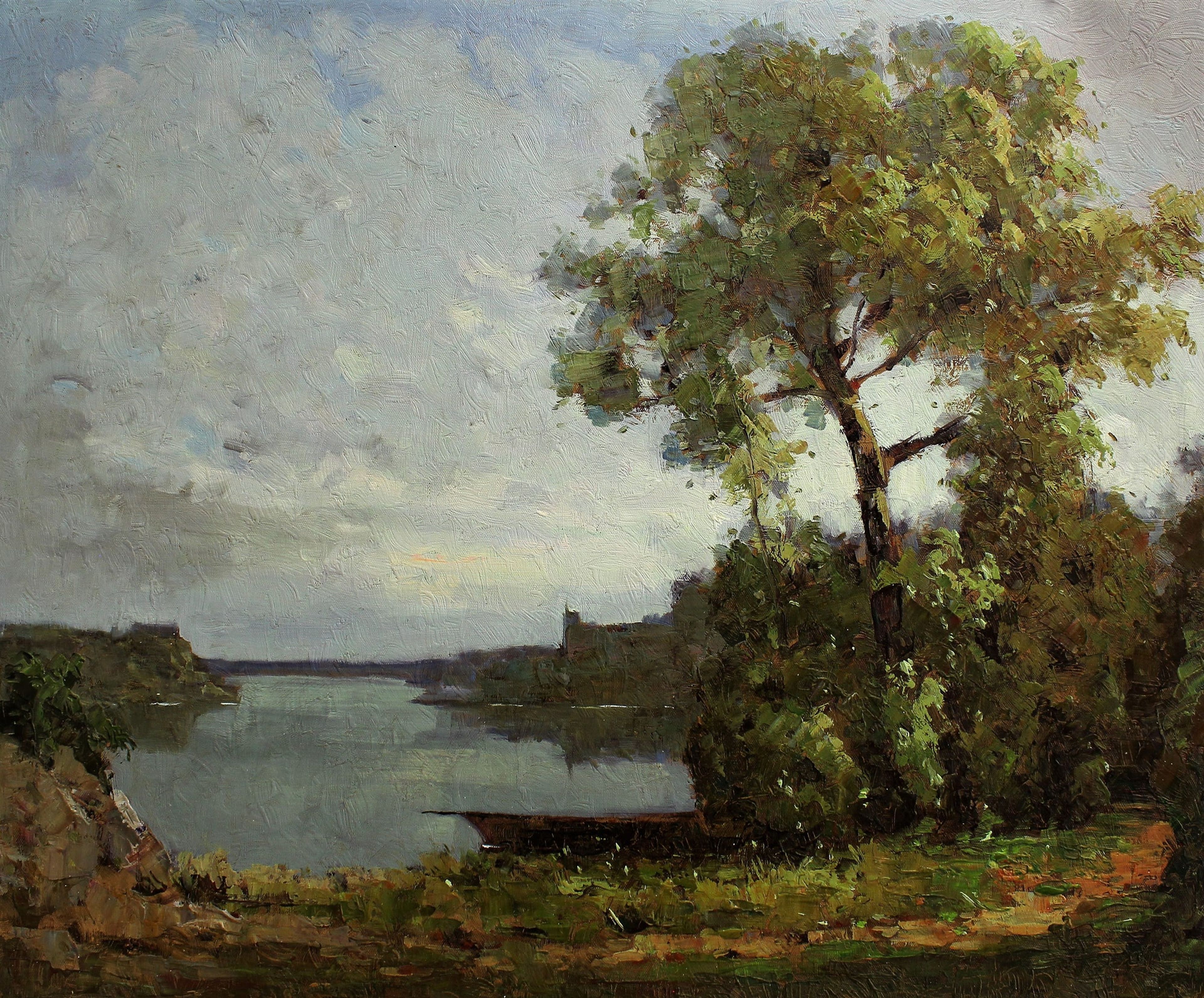 Arbres au bord d'un lac calme