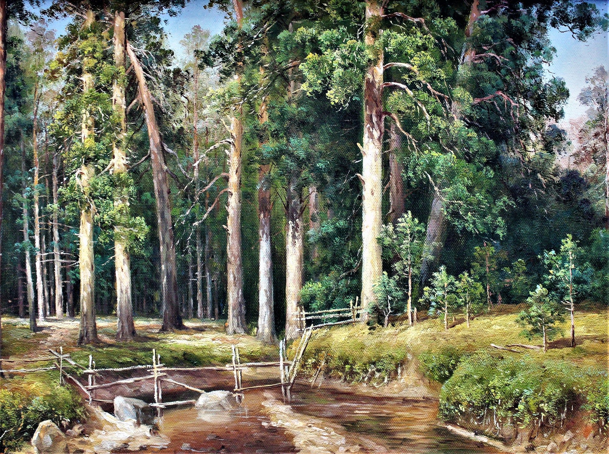 Ruisseau et clôture à travers la forêt