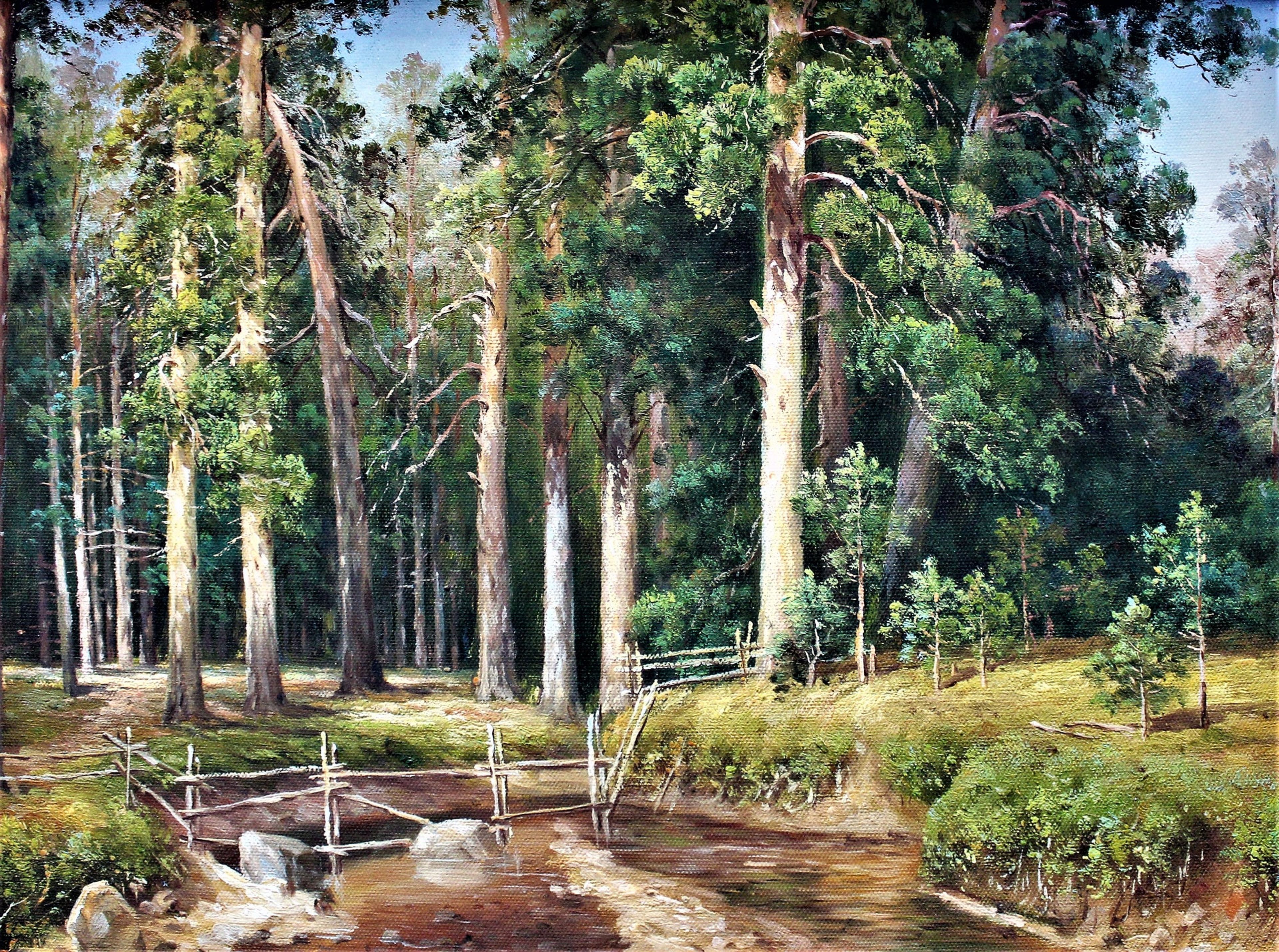 Ruisseau et clôture à travers la forêt