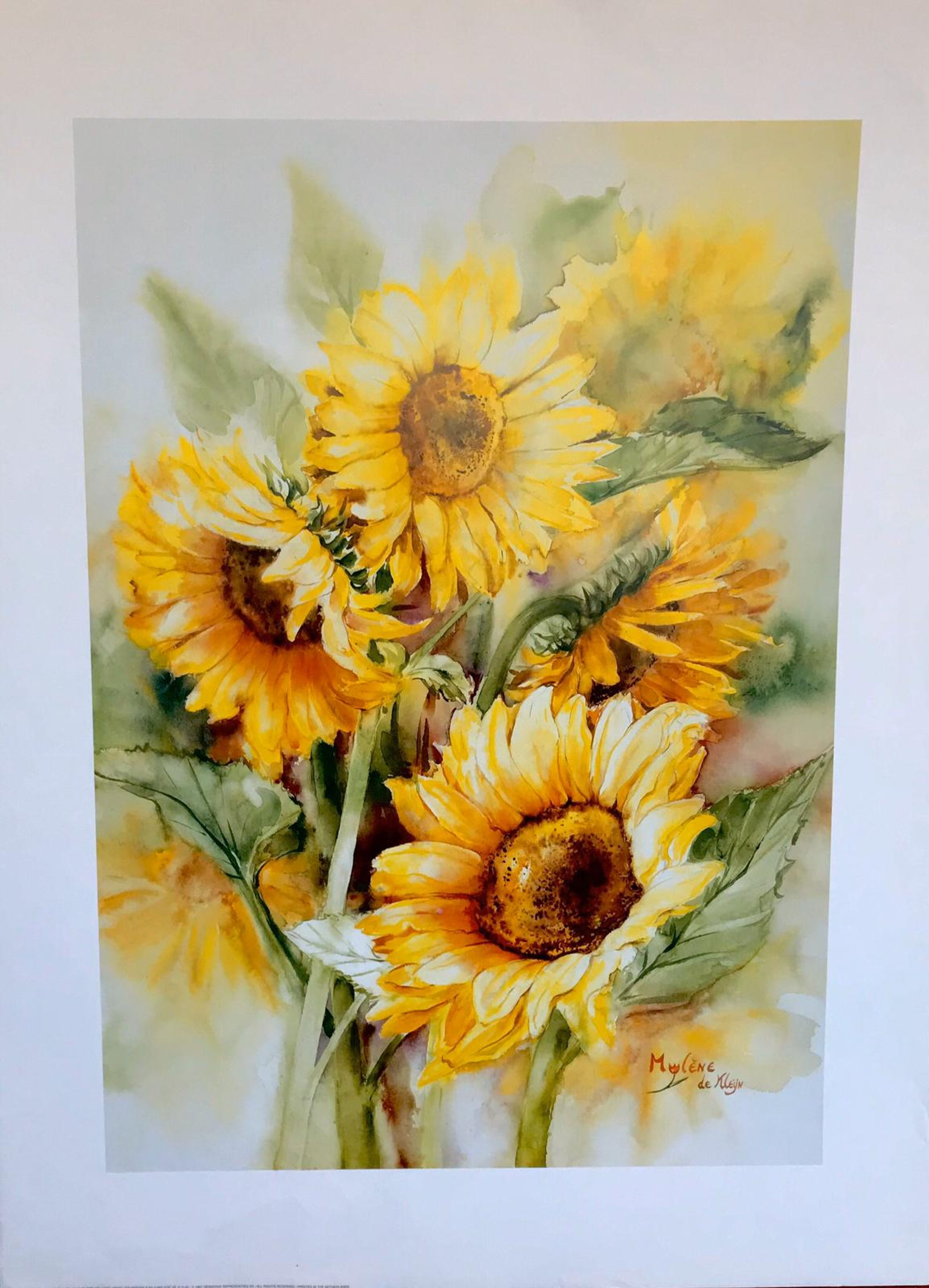 Affiche de tournesols