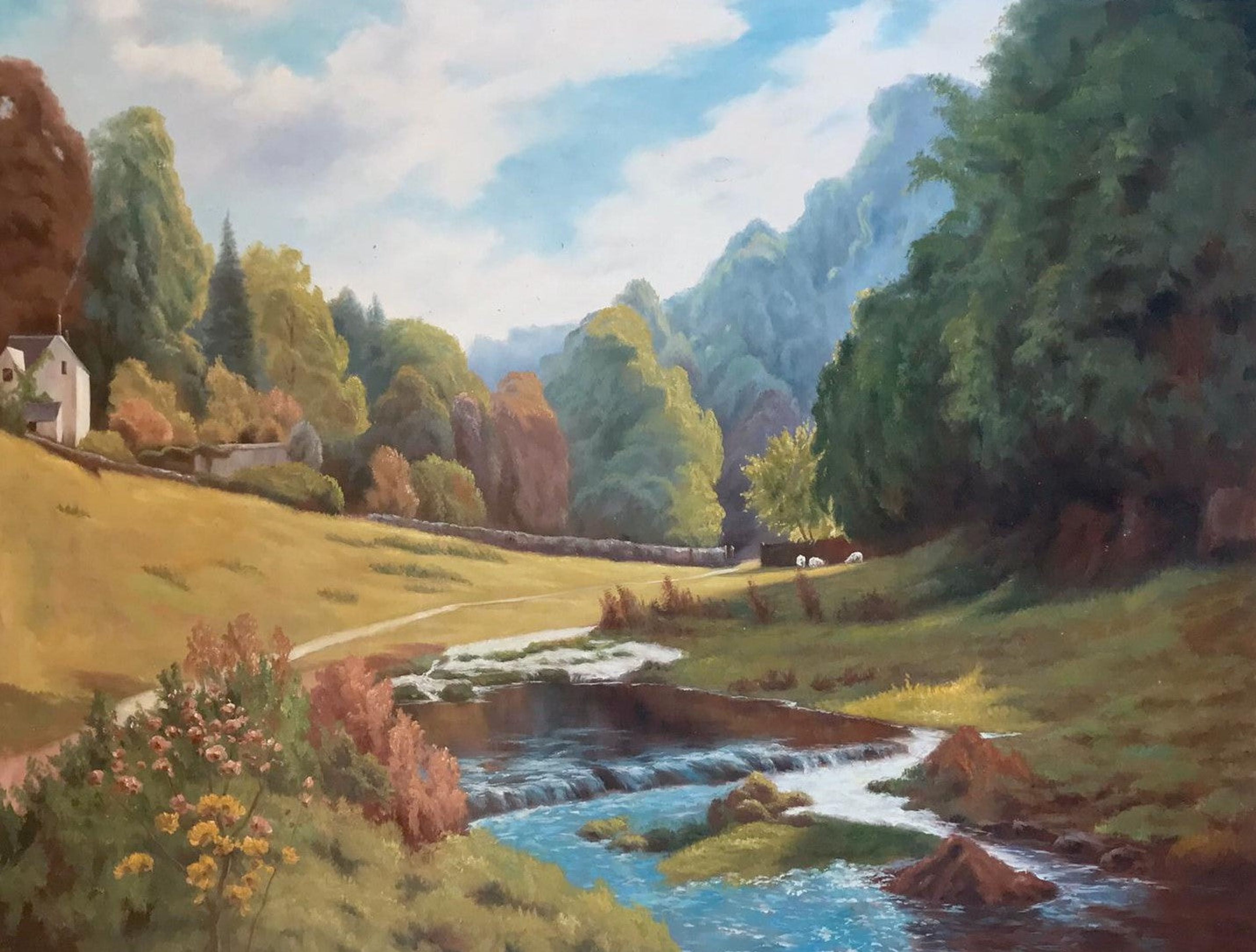Ruisseau dans la forêt