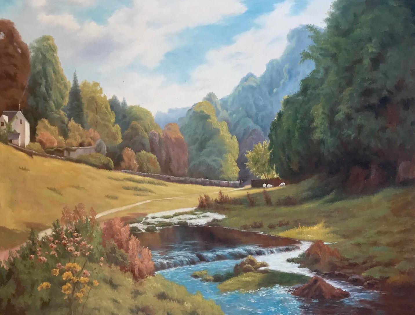 Ruisseau dans la forêt
