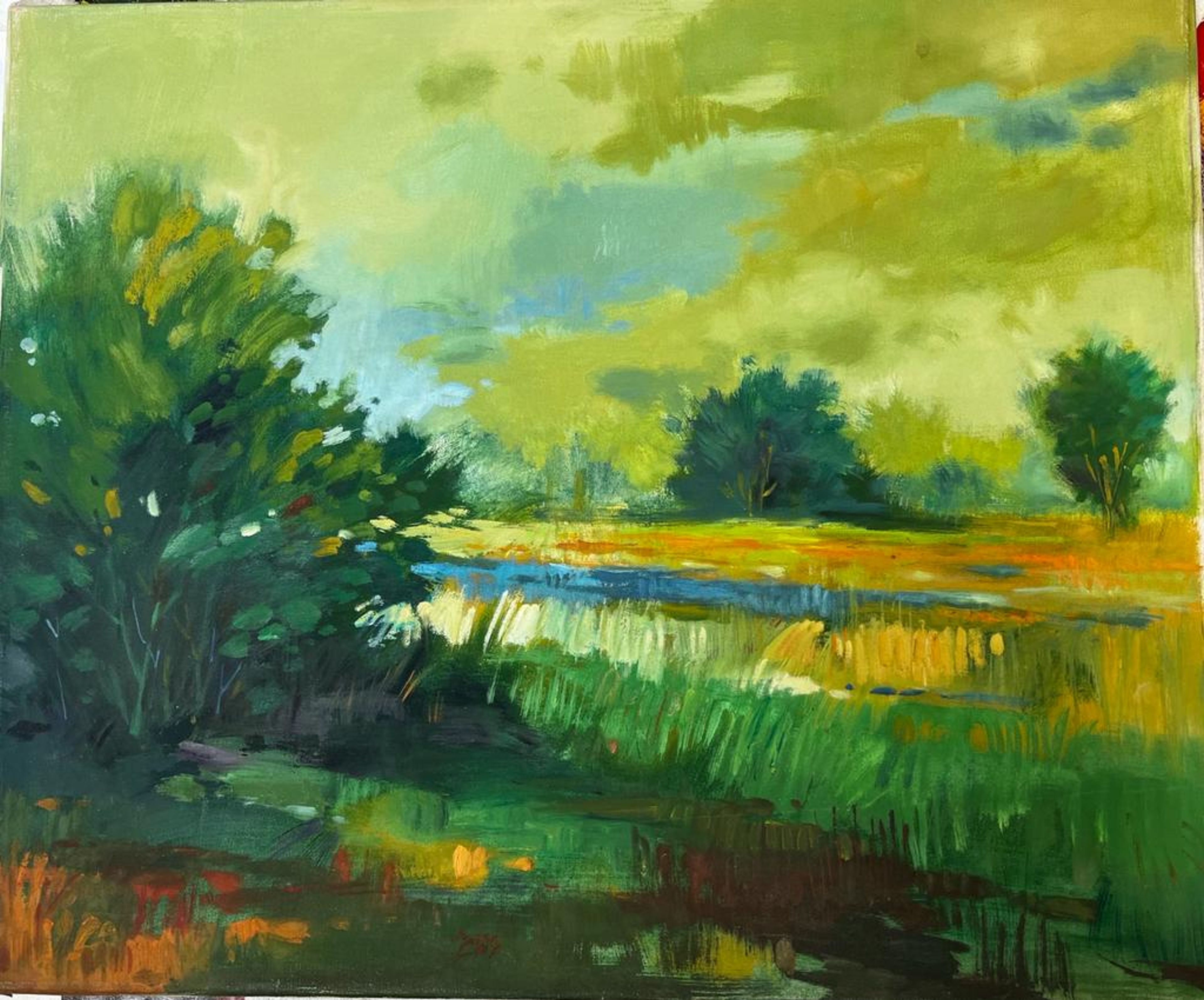 Paysage verdoyant