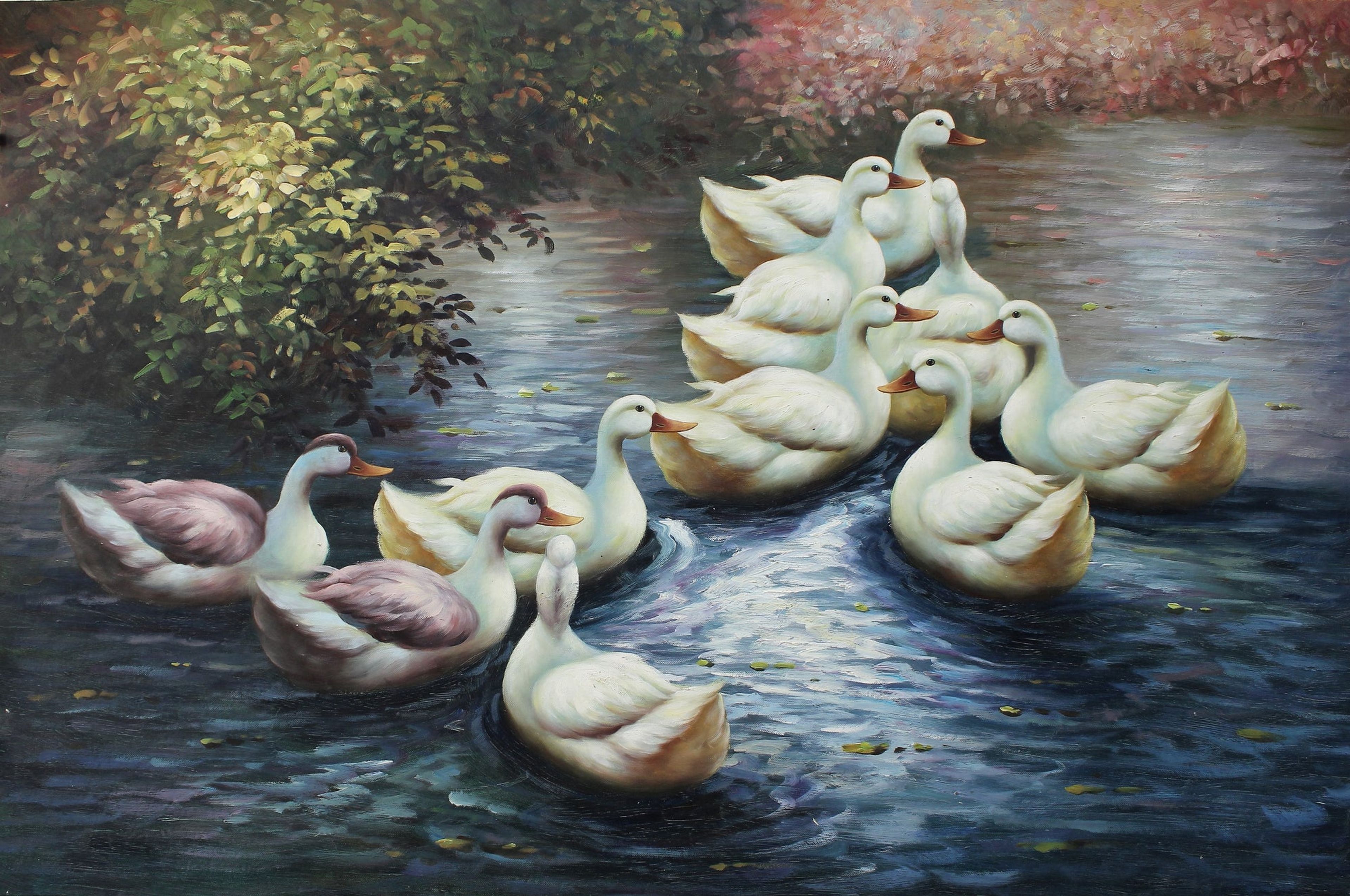 Un groupe de canards dans un étang