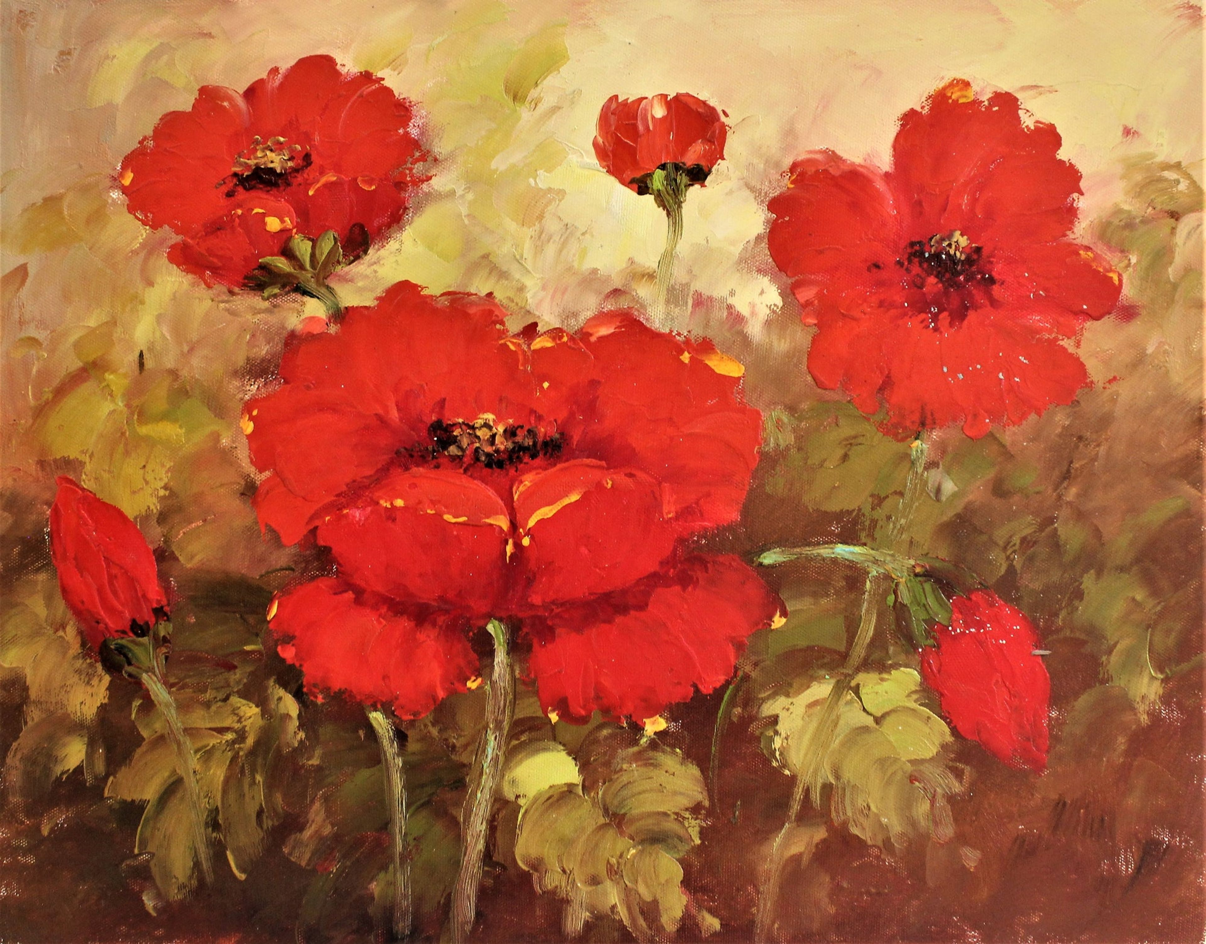 Un champ de fleurs de pavot