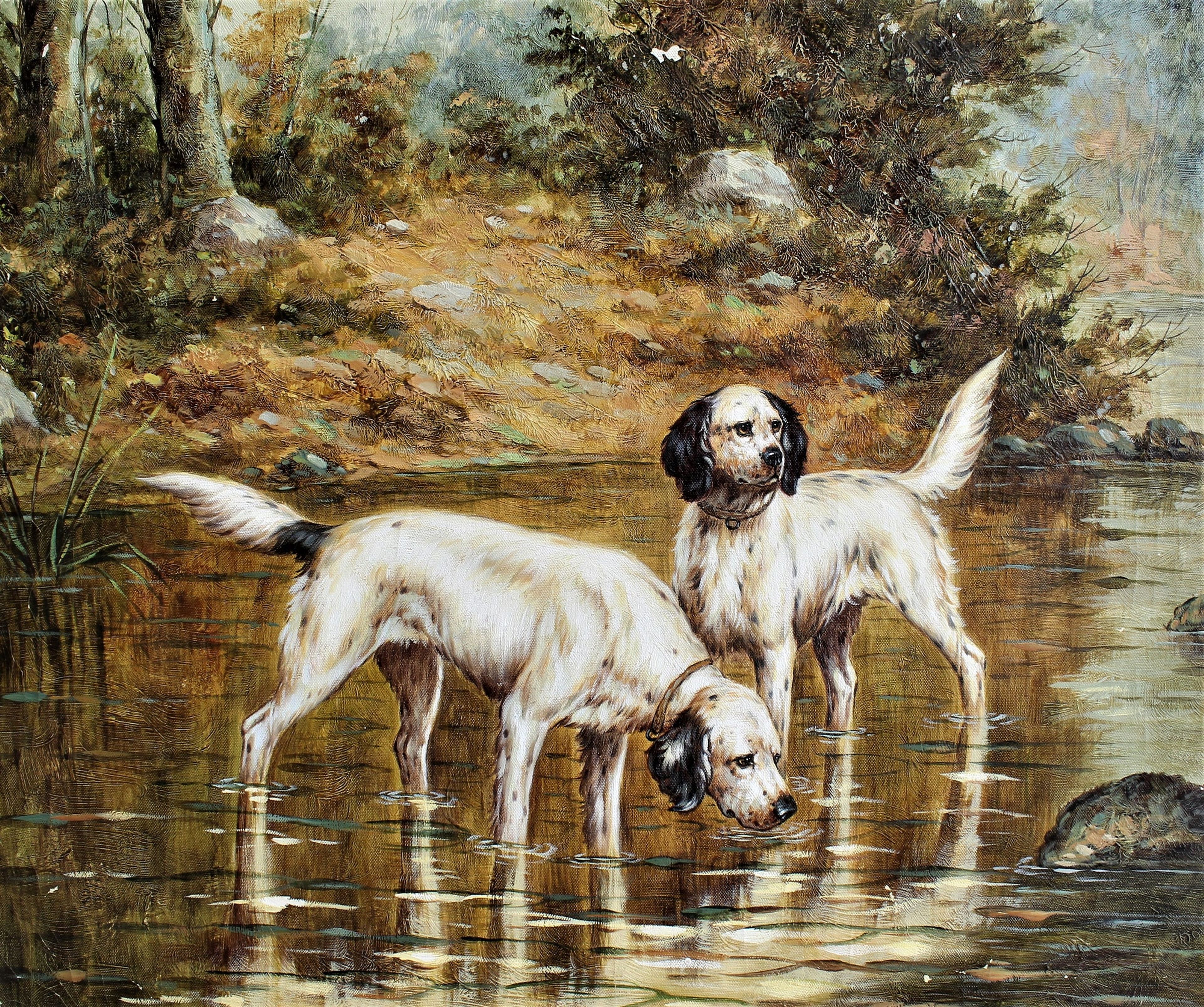 Deux chiens dans une rivière