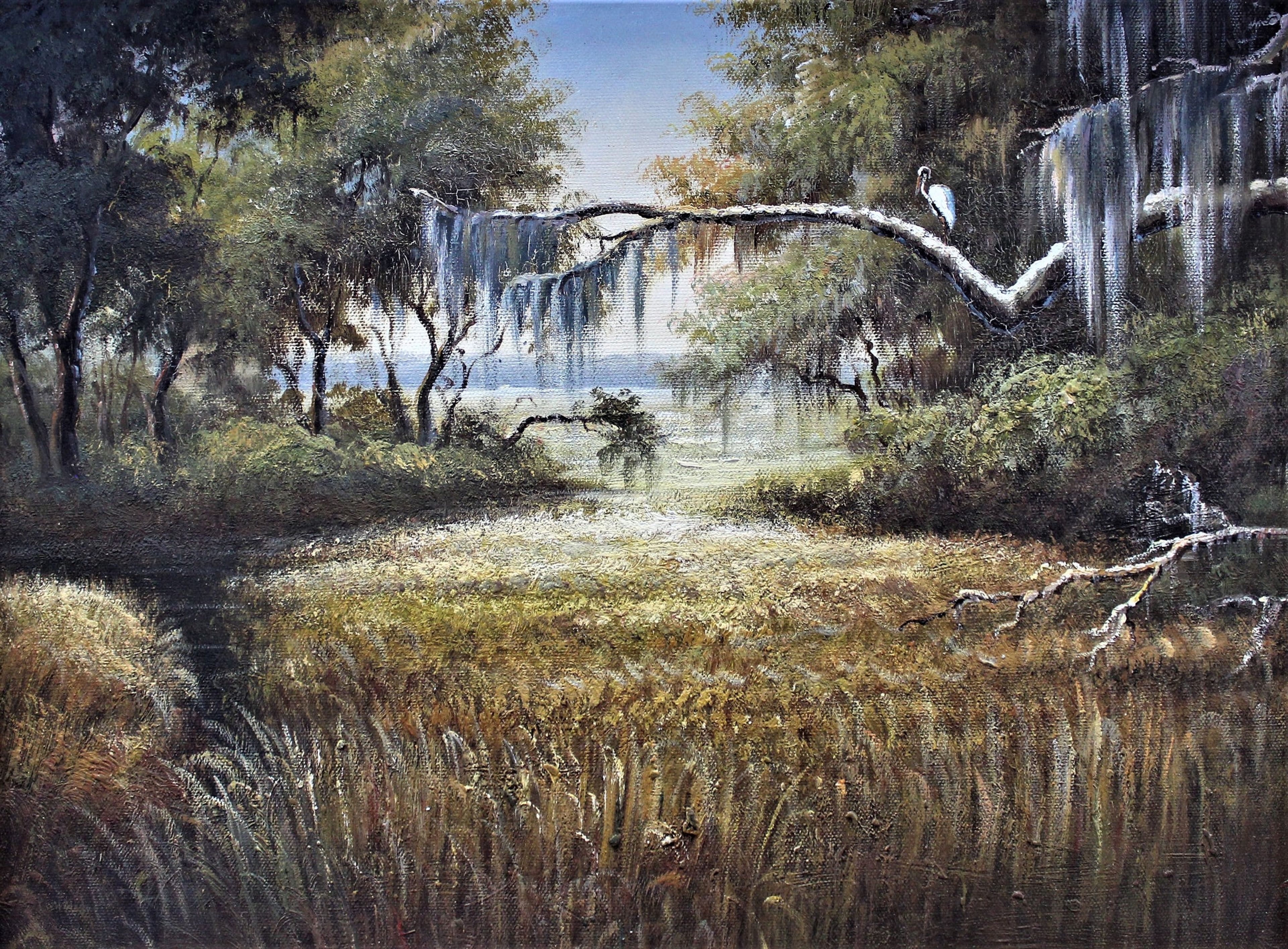 Prairie avec des arbres