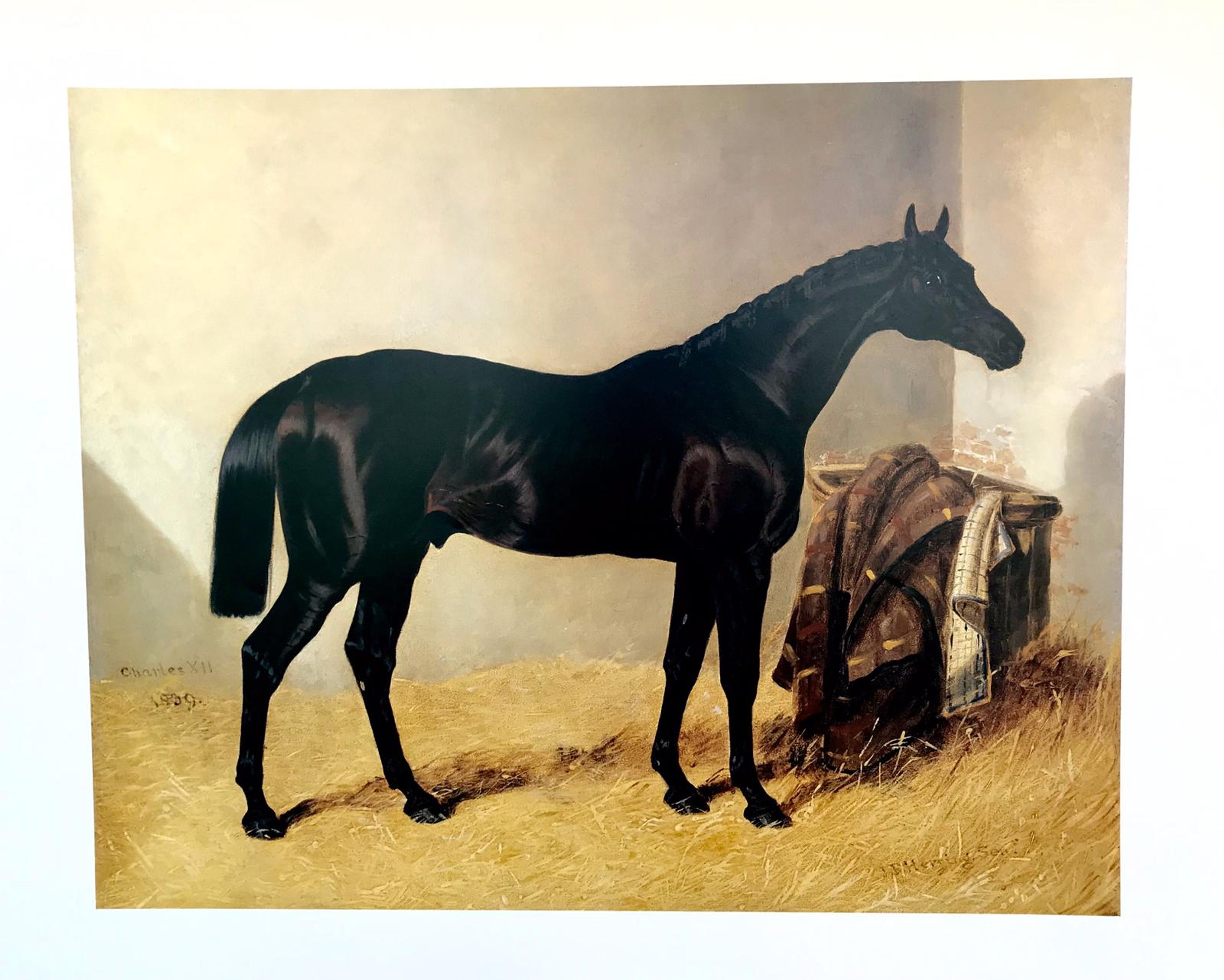Affiche du cheval noir